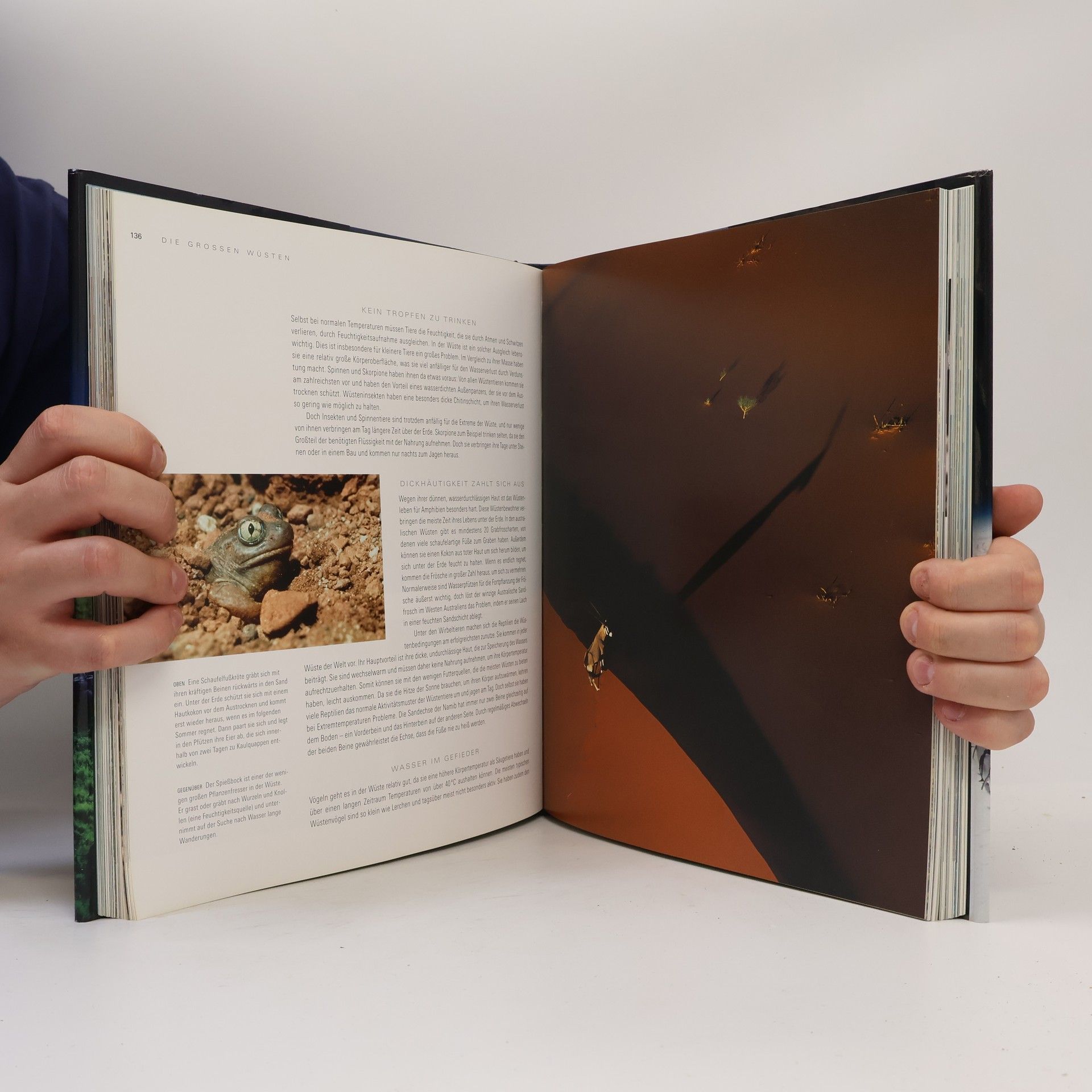 Alastair Fothergill Planet Erde