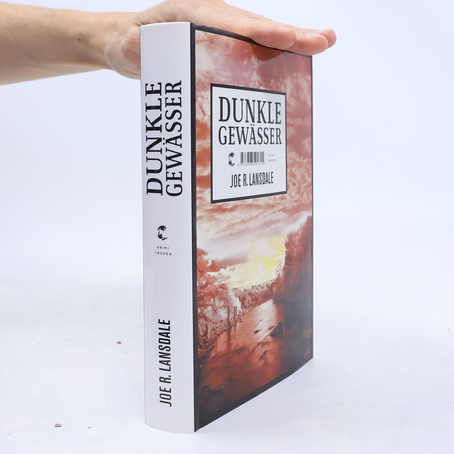 Joe R. Lansdale Dunkle Gewässer