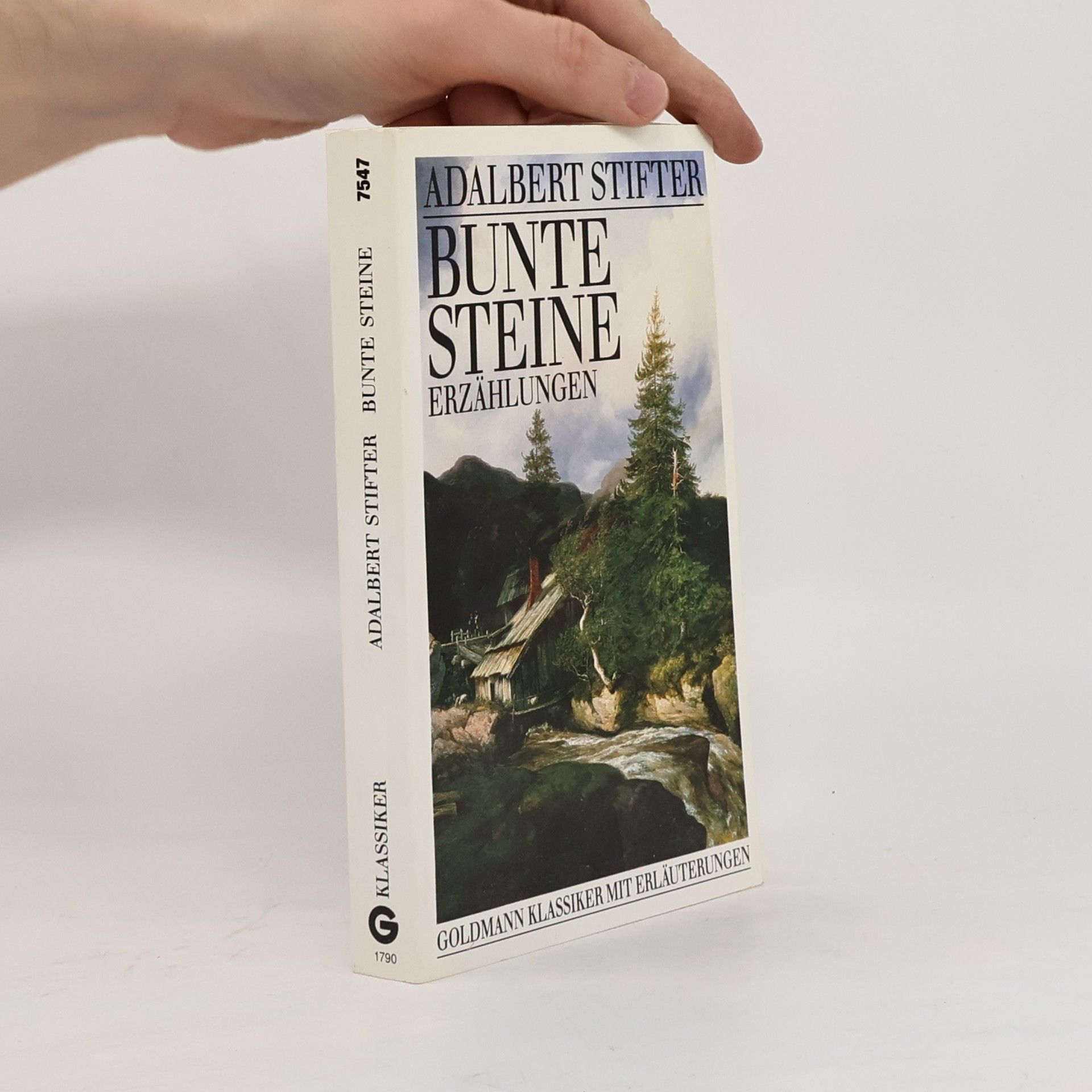 Adalbert Stifter Bunte Steine