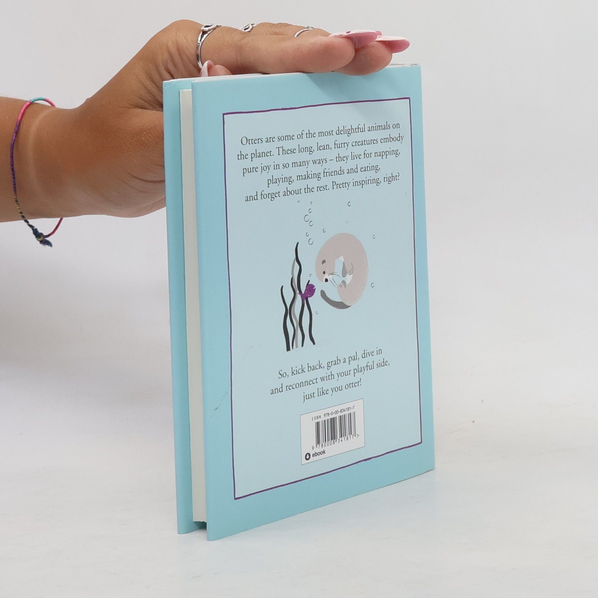 Jennifer McCartney The Little Book of Otter Philosophy