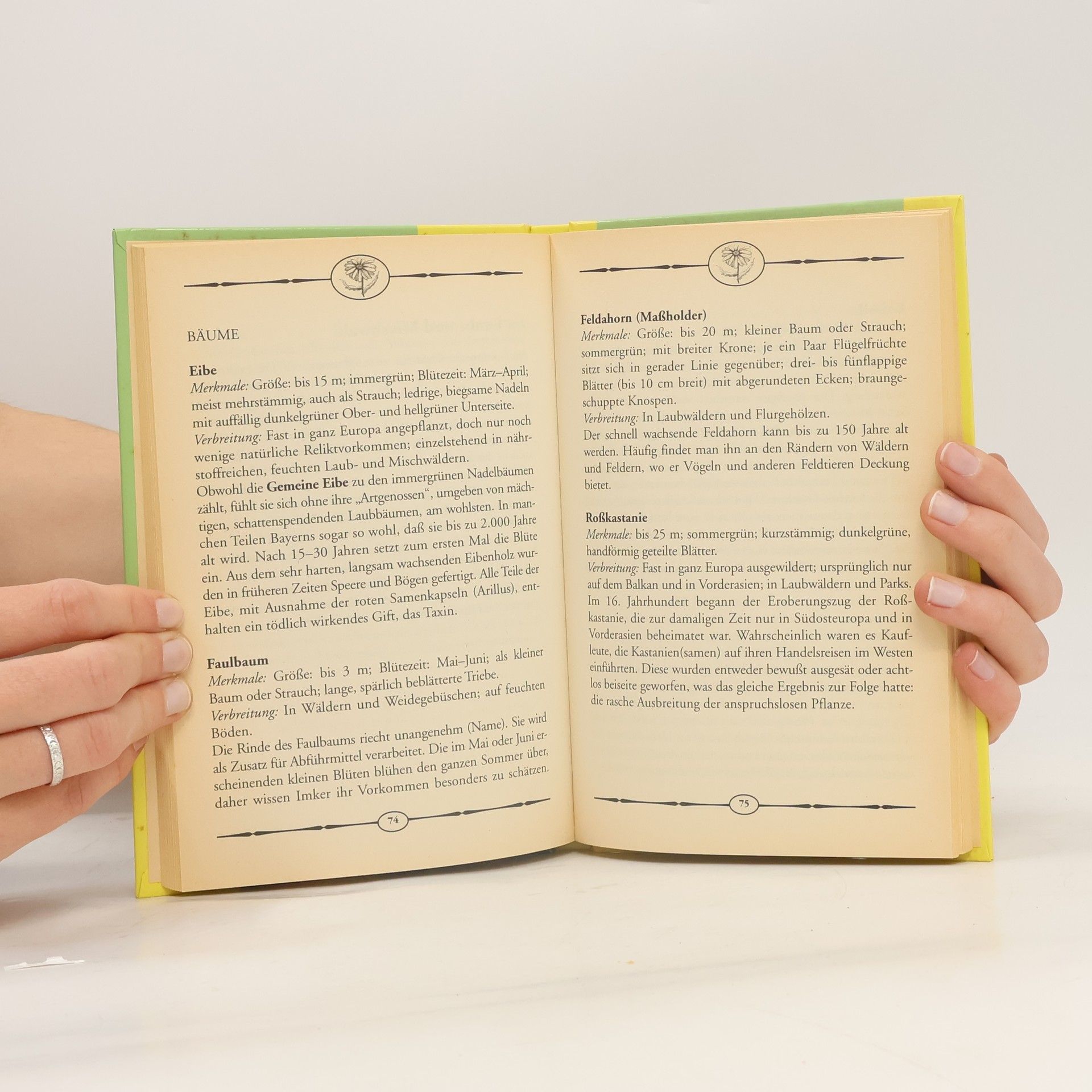 Buch der heimischen Pflanzen