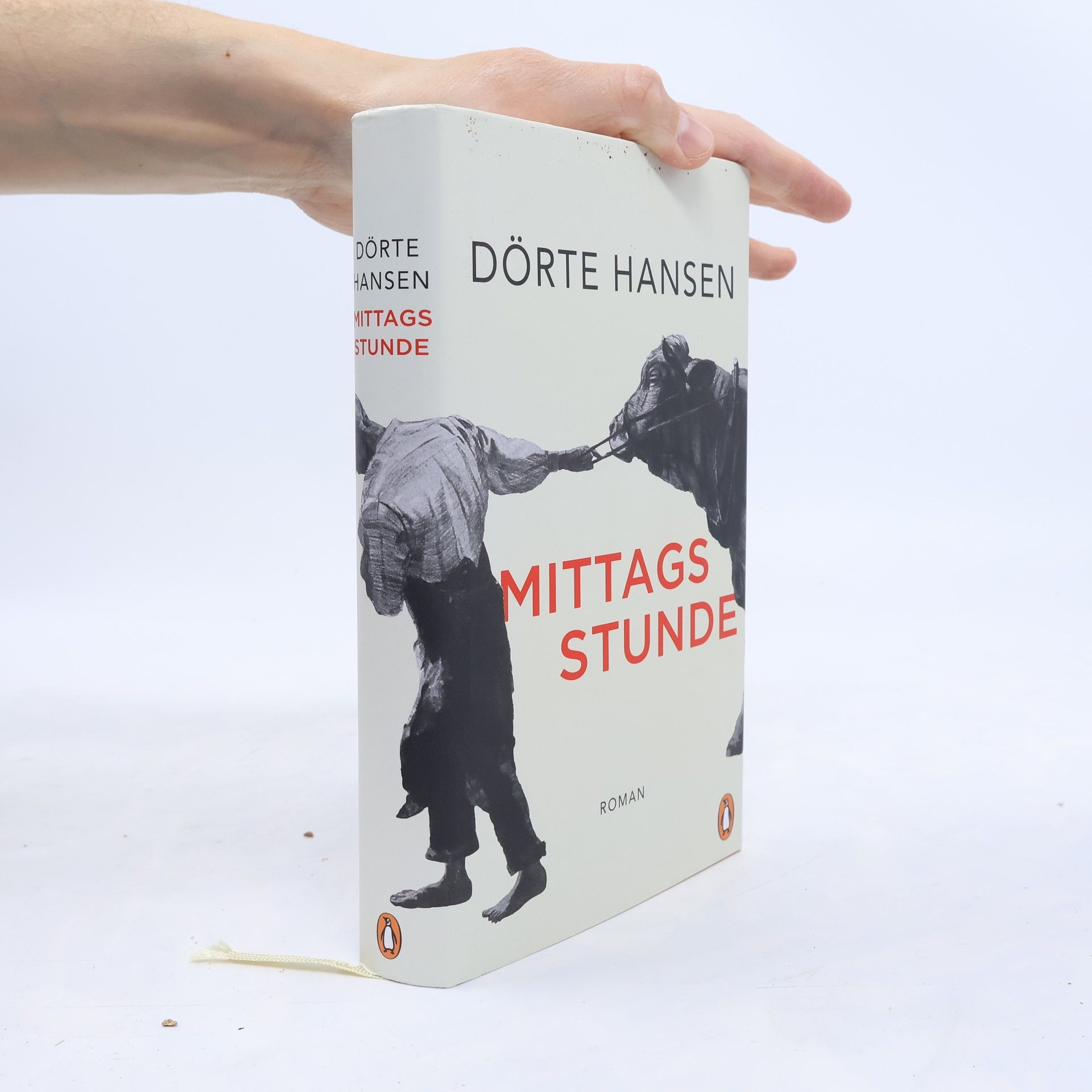 Dörte Hansen Mittagsstunde
