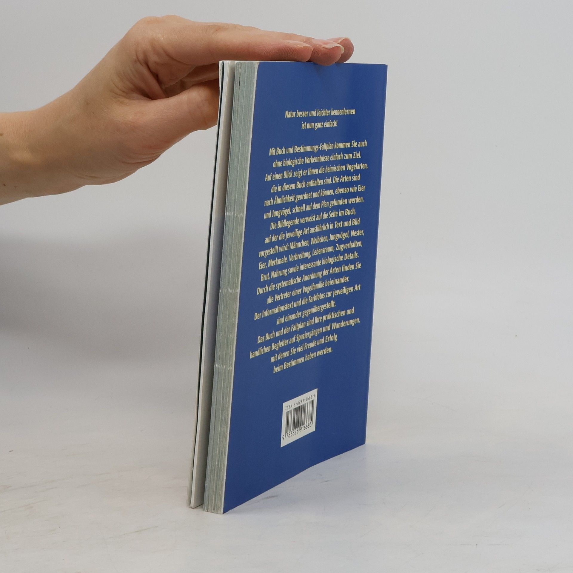 Michael Lohmann BLV-Bestimmungsbuch Vögel