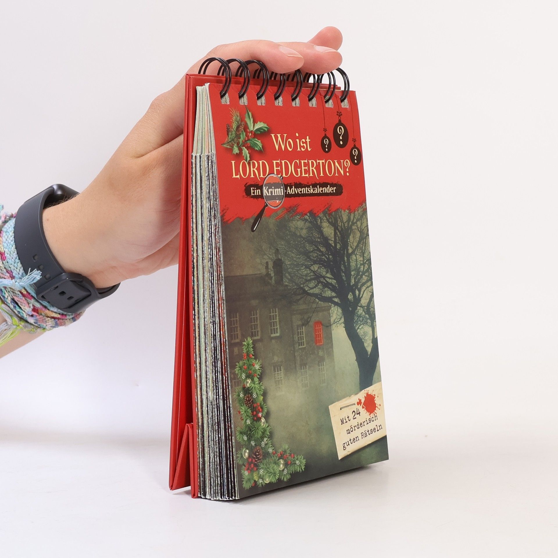 Kristin Lückel Wo ist Lord Edgerton? - Ein Krimi-Adventskalender mit 24 mörderisch guten Rätseln