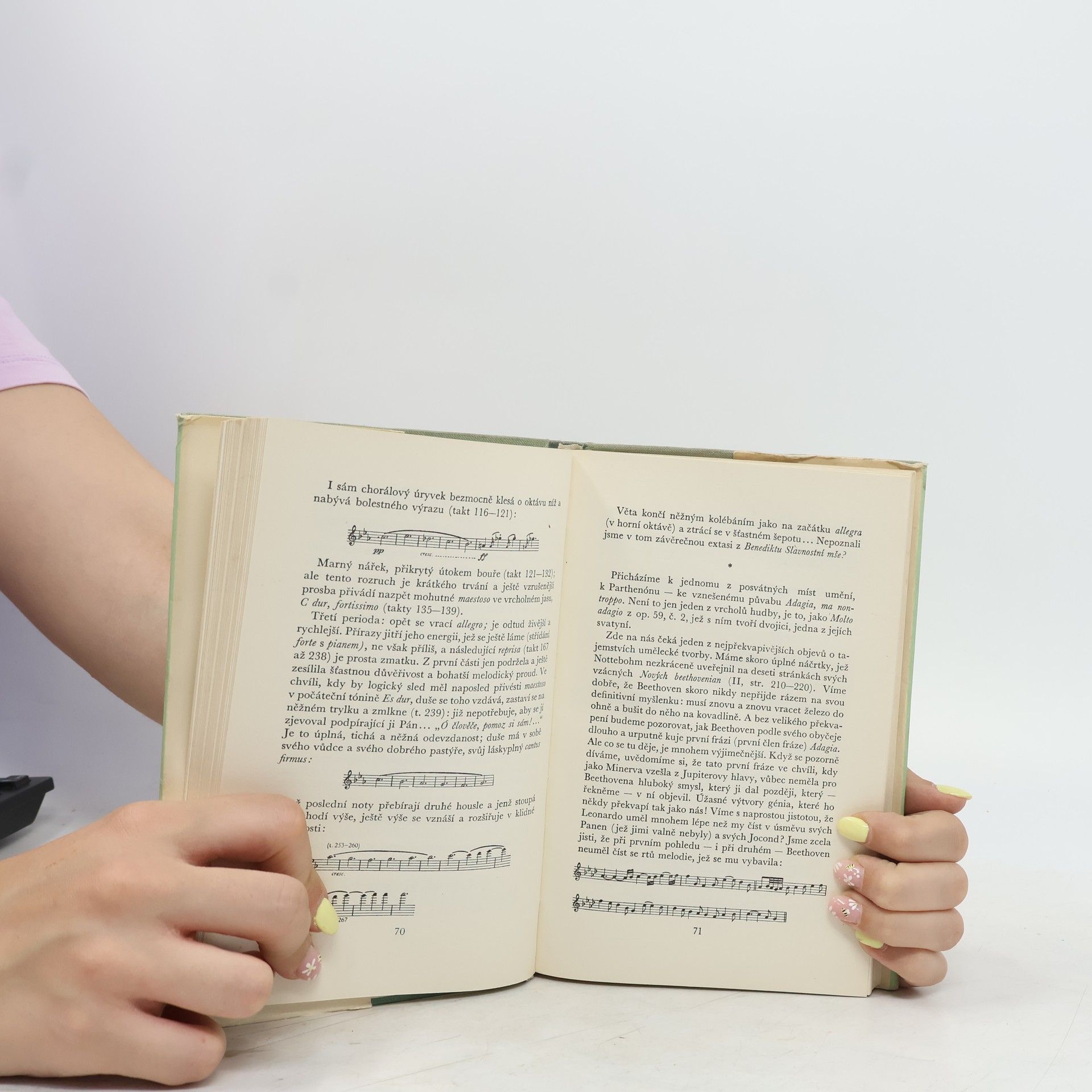 Romain Rolland Beethoven IV. Velká tvůrčí období. Nedokončená katedrála II. Poslední kvartety