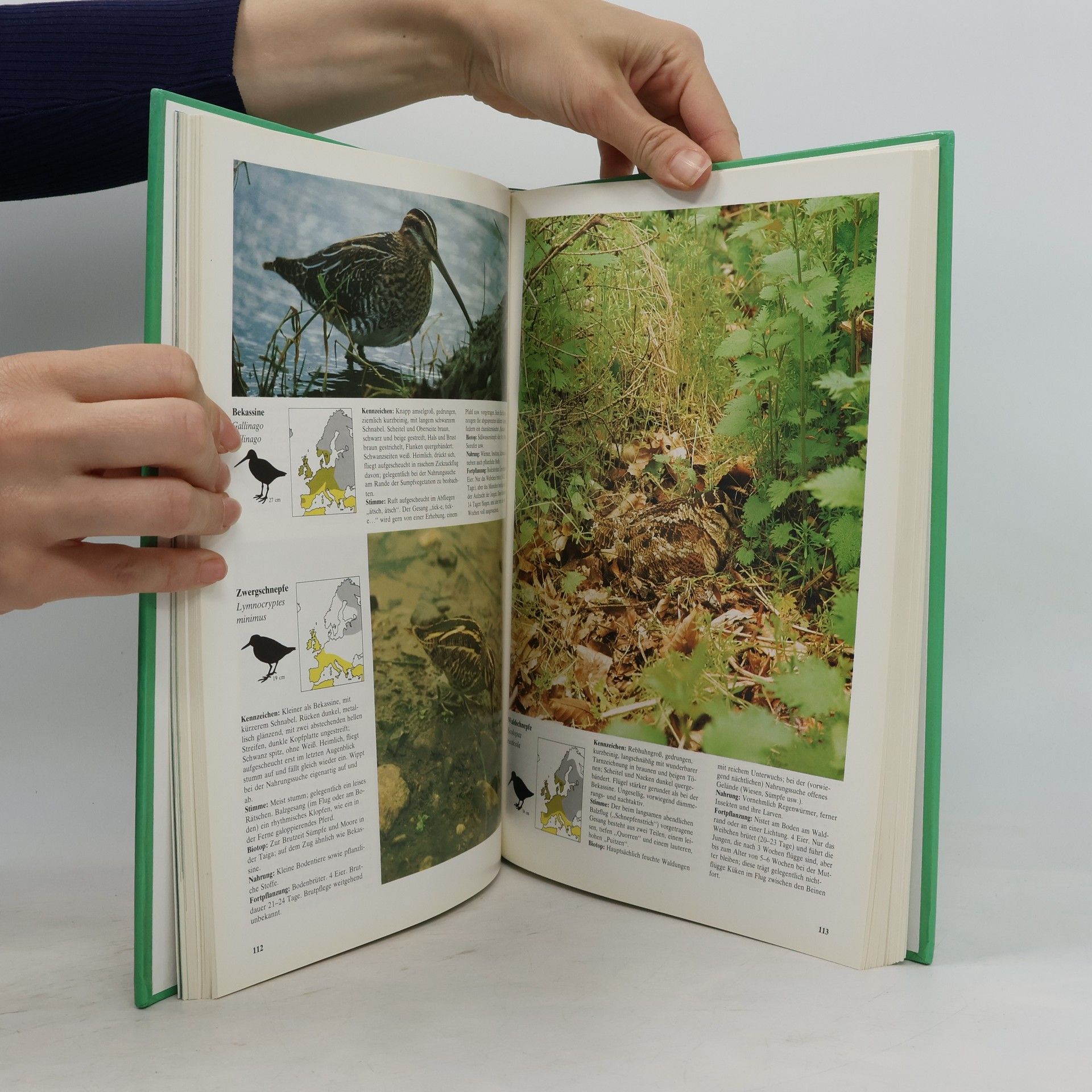 Nicholas G. L. Hammond Das grosse Buch der Vögel
