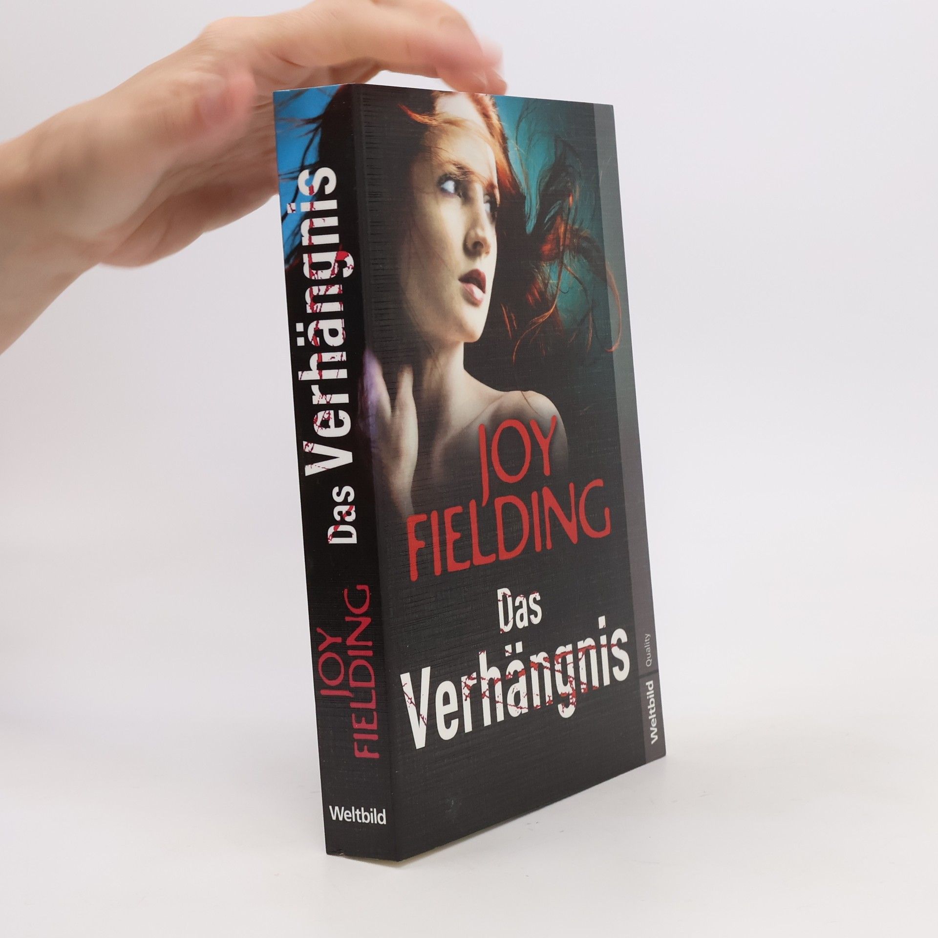Joy Fielding Das Verhängnis