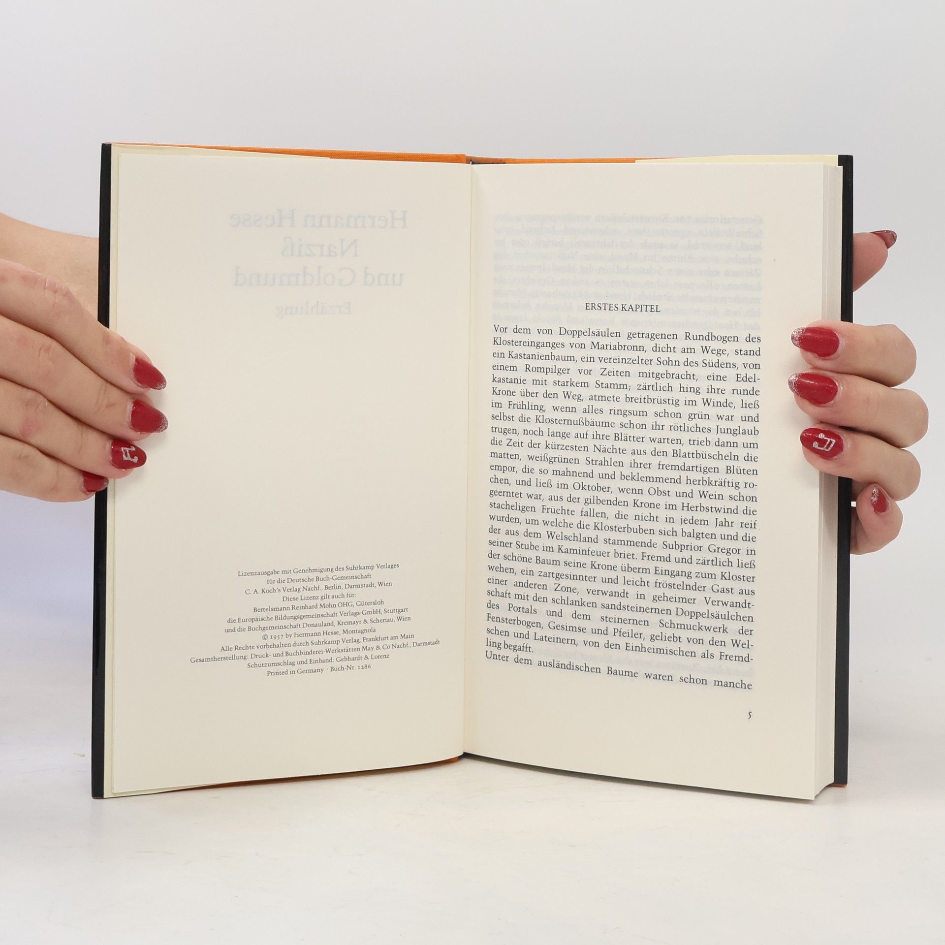 Hermann Hesse Narziss und Goldmund
