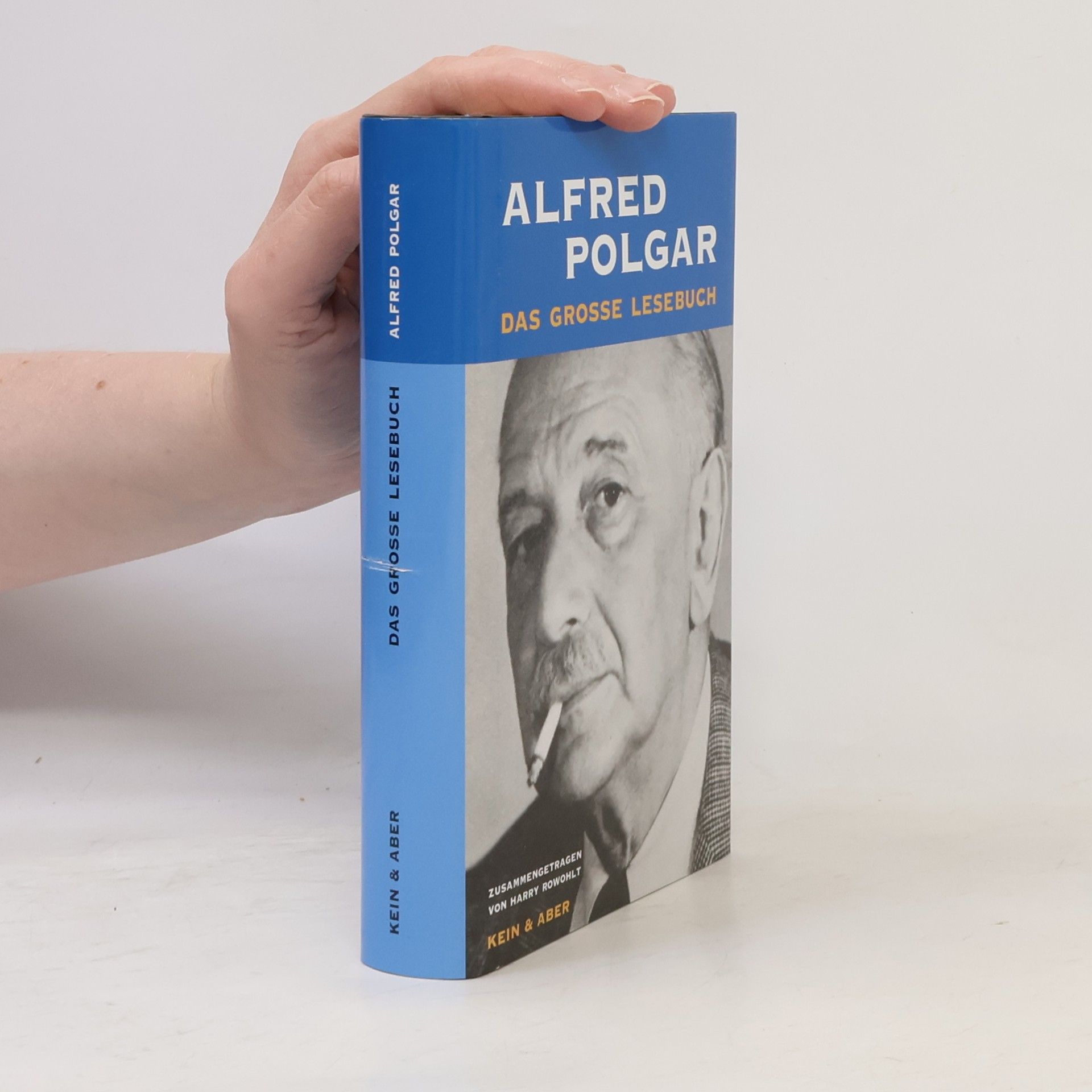 Alfred Polgar Das große Lesebuch