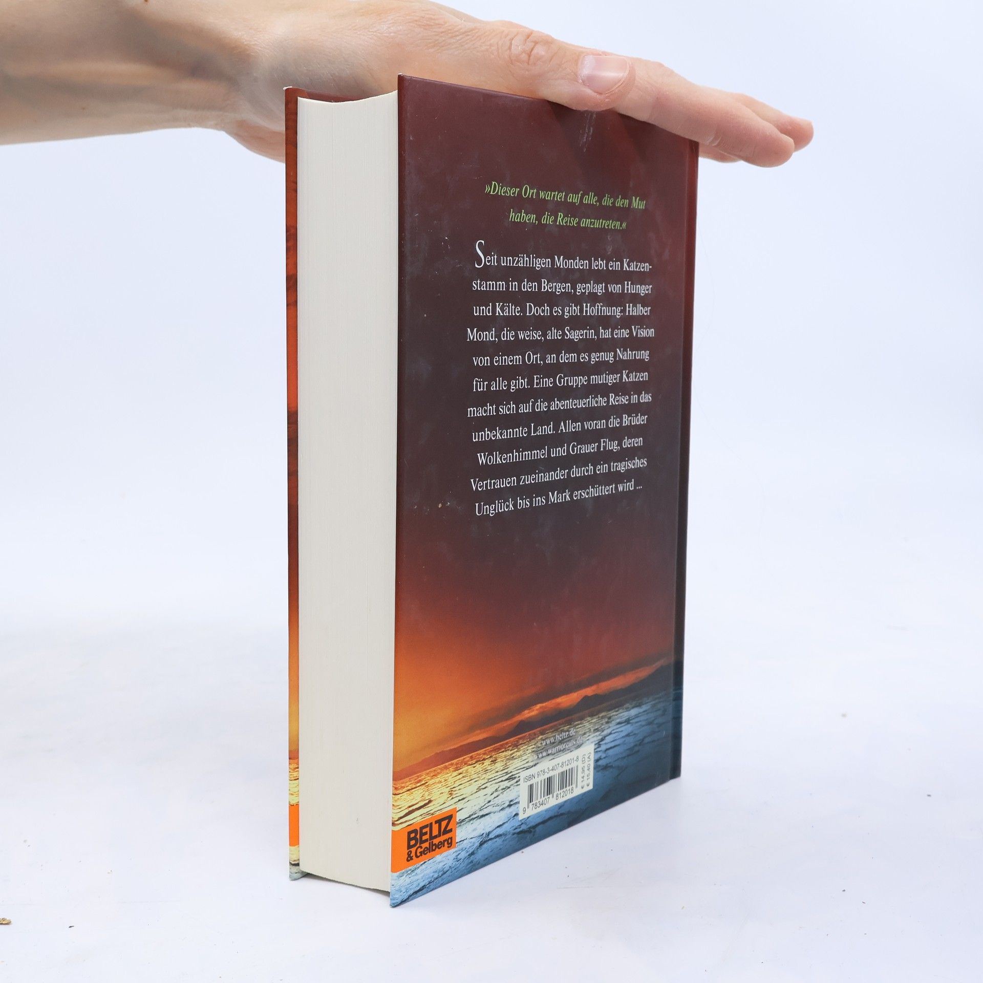 Erin Hunter Der Sonnenpfad