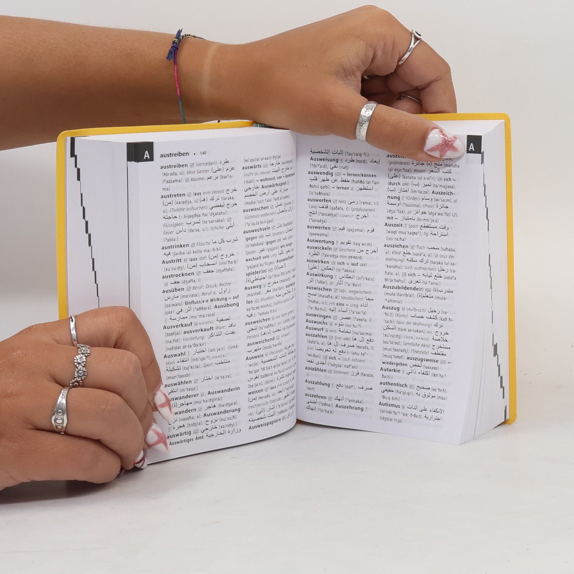 Lorenz Kropfitsch Langenscheidt Taschenwörterbuch Arabisch
