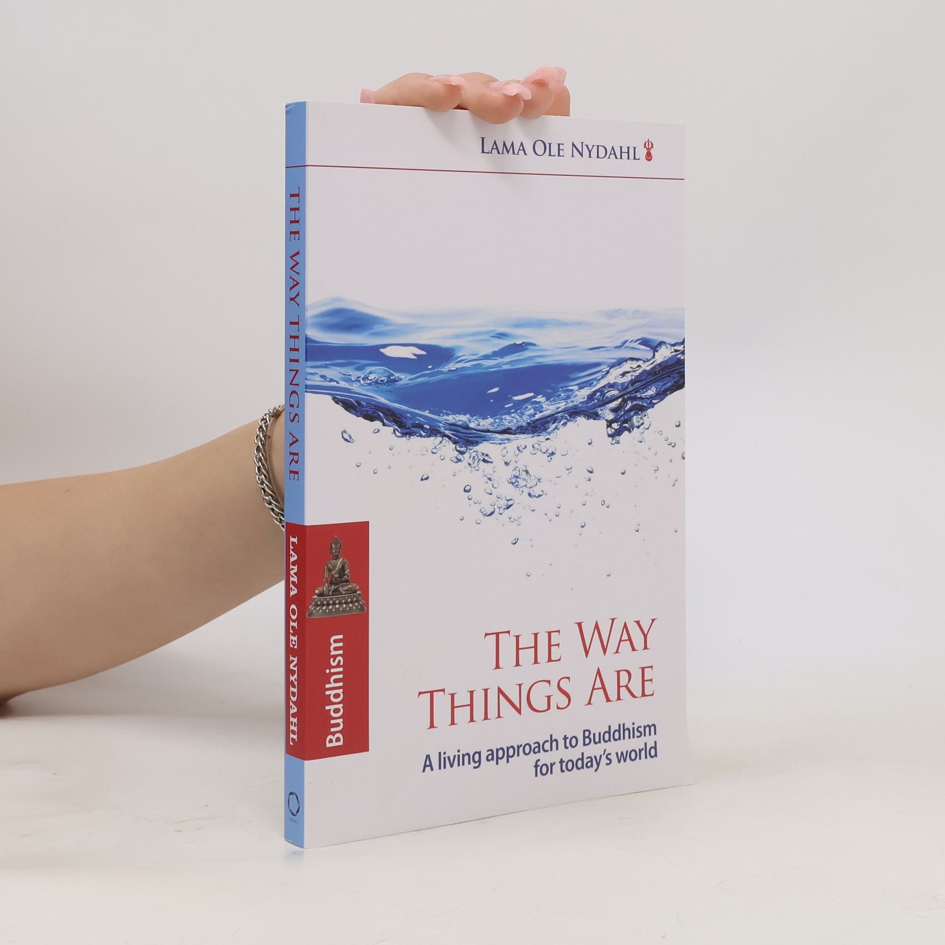 Ole Nydahl The Way Things Are