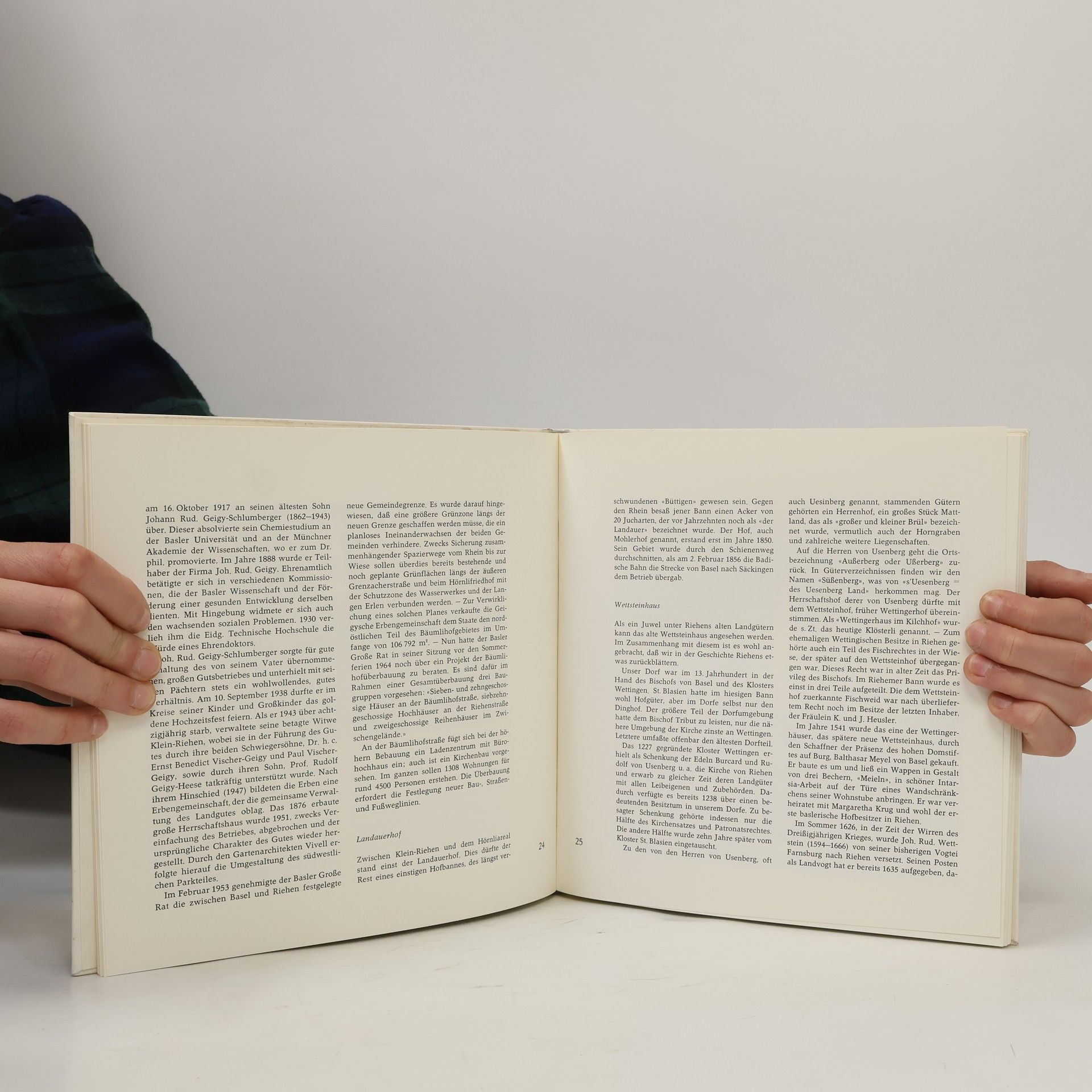 Autorenkollektiv Höfe und Landgüter in Riehen