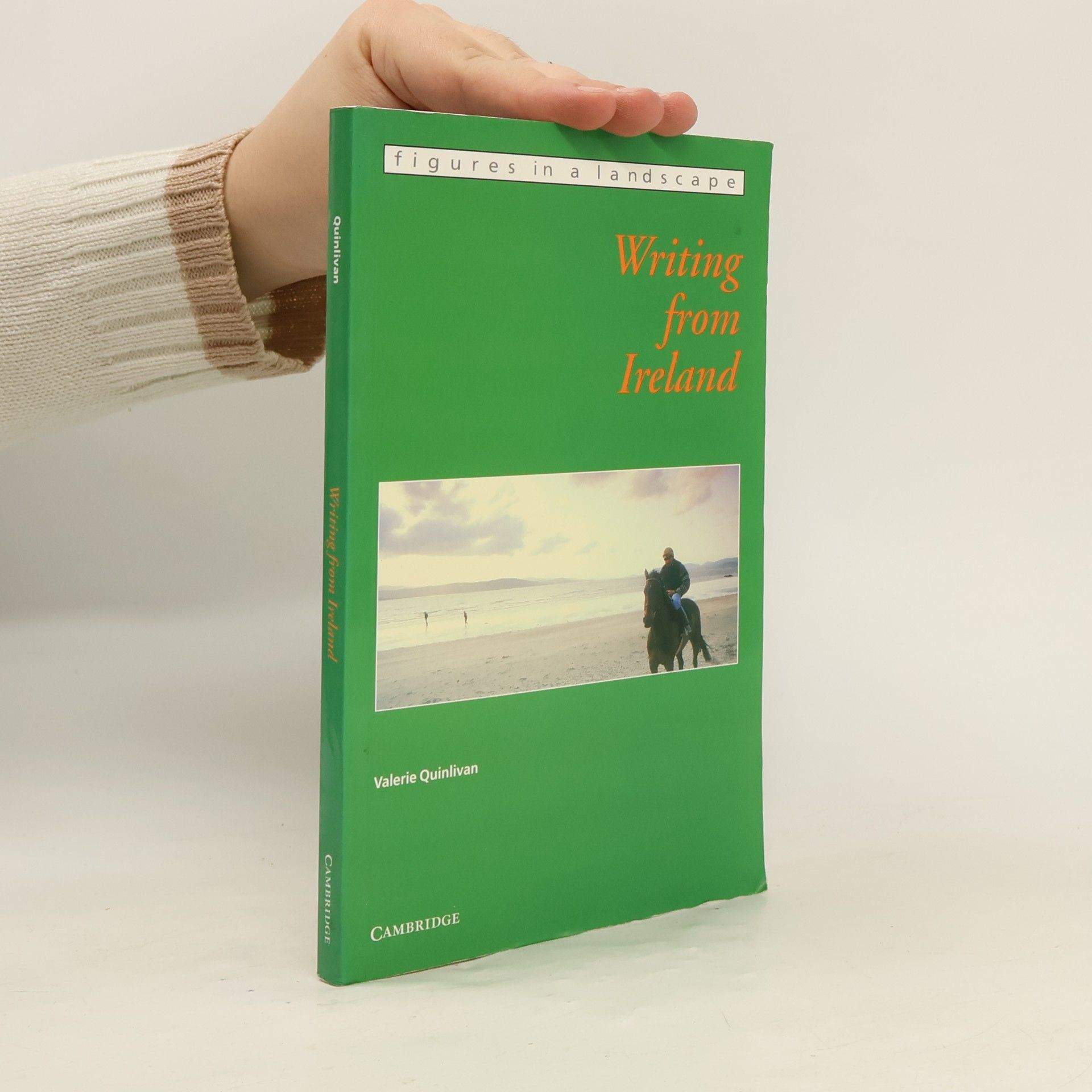 Valerie Quinlivan Figures in a Landscape: Writing from Ireland