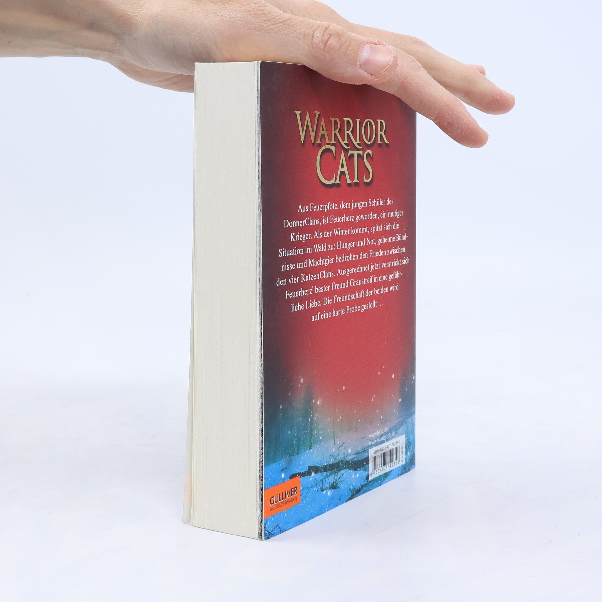 Erin Hunter Warrior Cats. Feuer und Eis