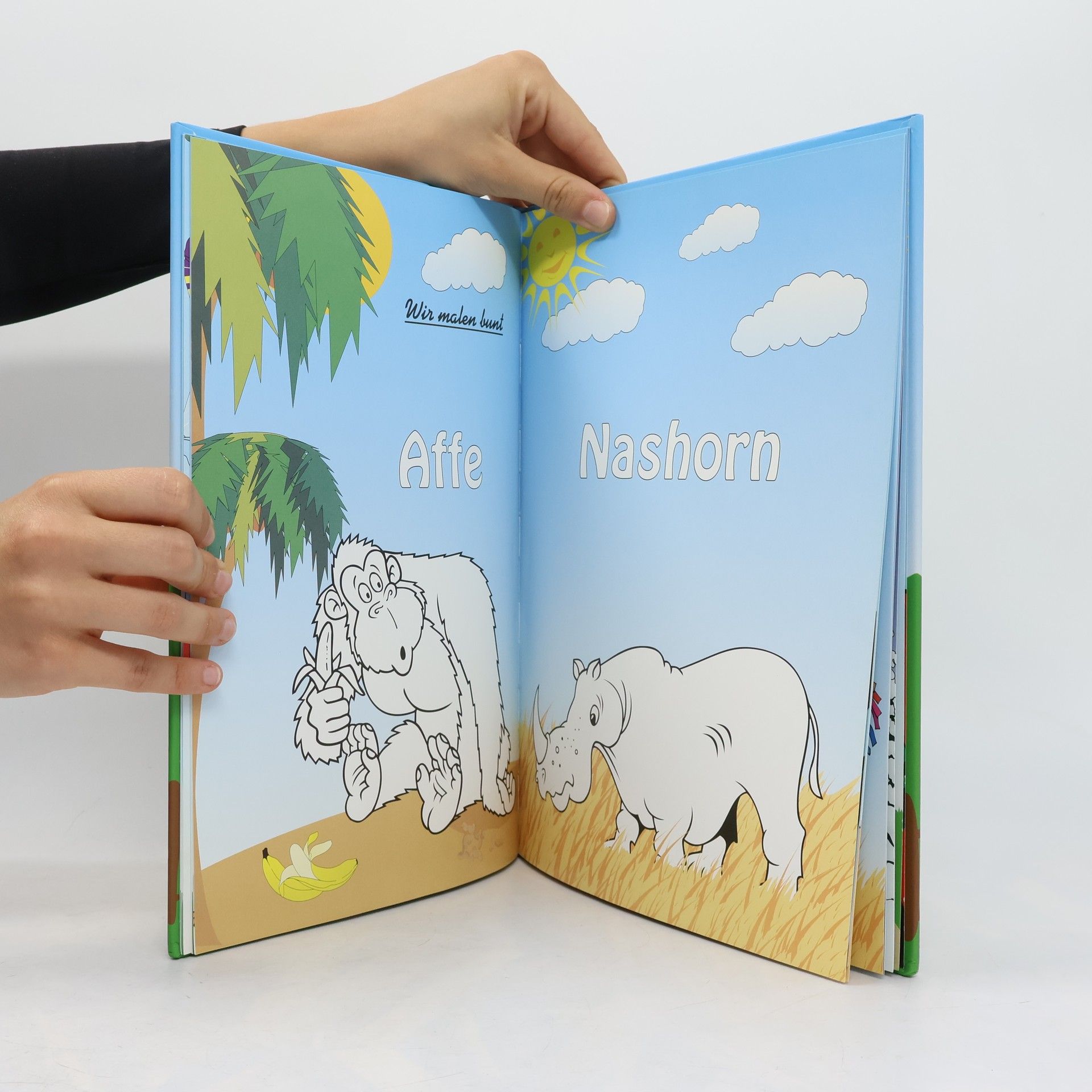 Various authors Meine Kindergarten Foto-Fibel