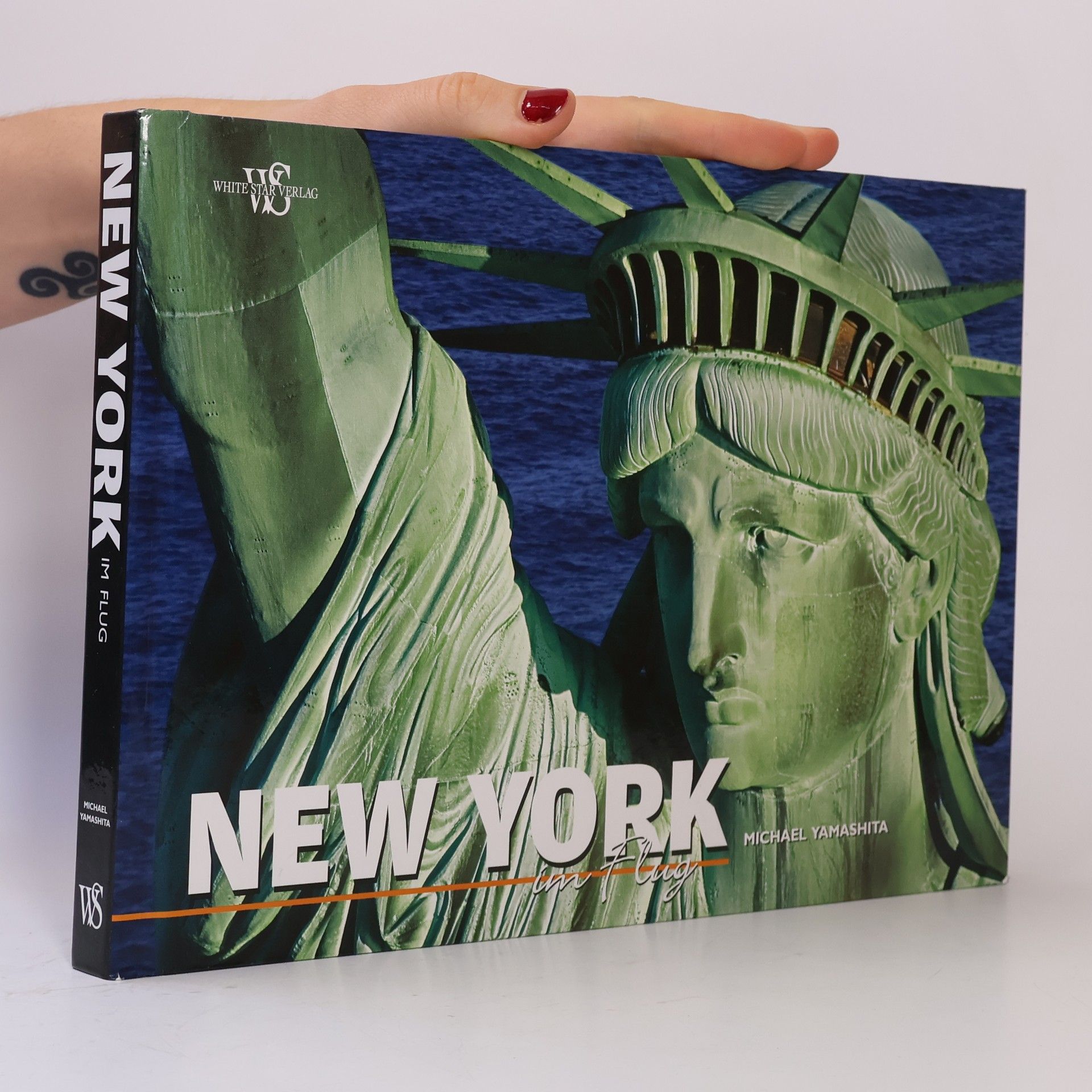 Michael Yamashita New York im Flug