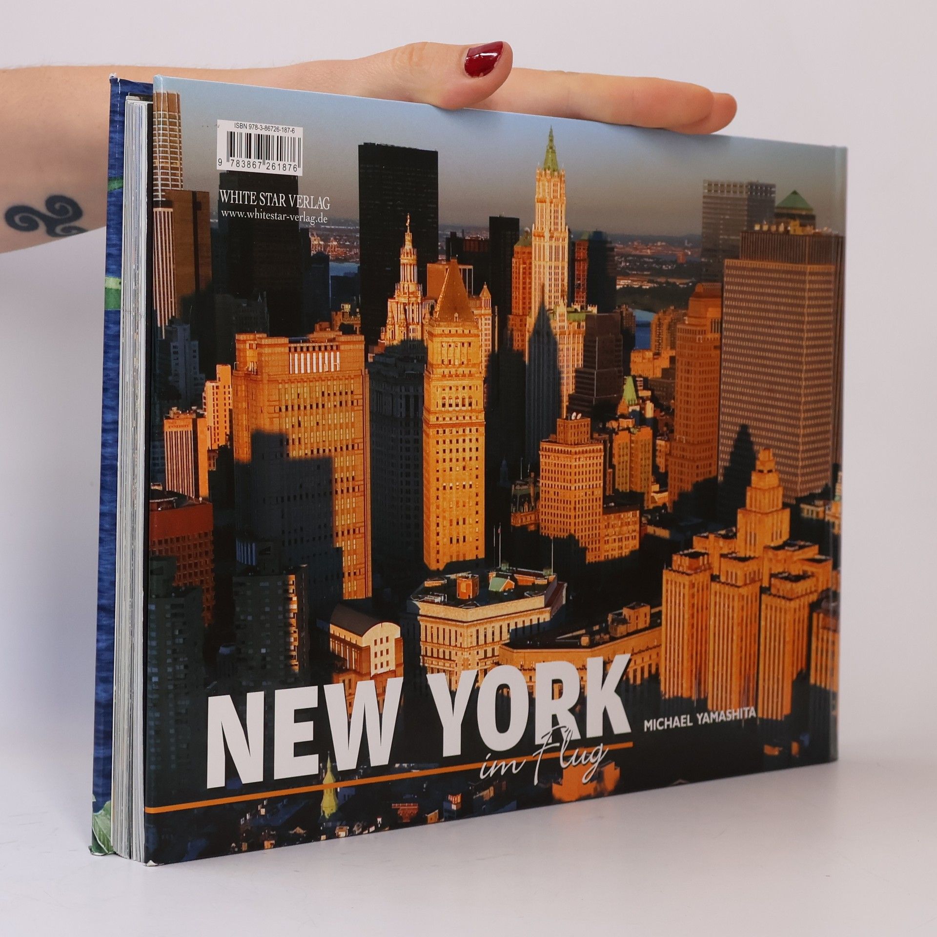 Michael Yamashita New York im Flug