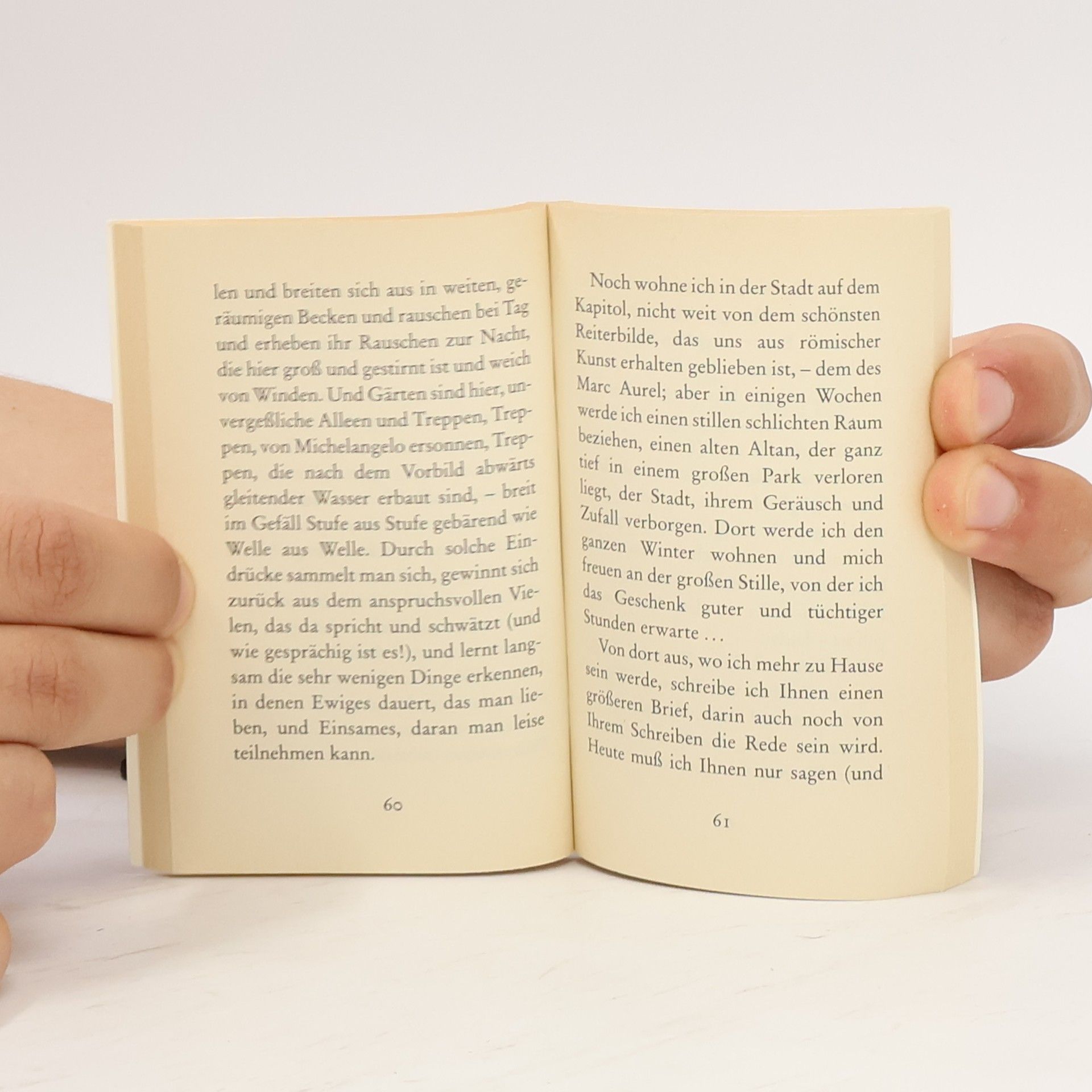 Rainer Maria Rilke Briefe an einen jungen Dichter