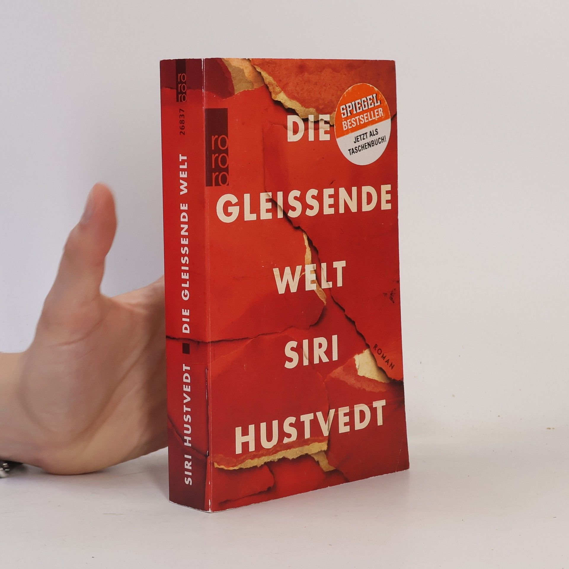 Siri Hustvedt Die gleißende Welt