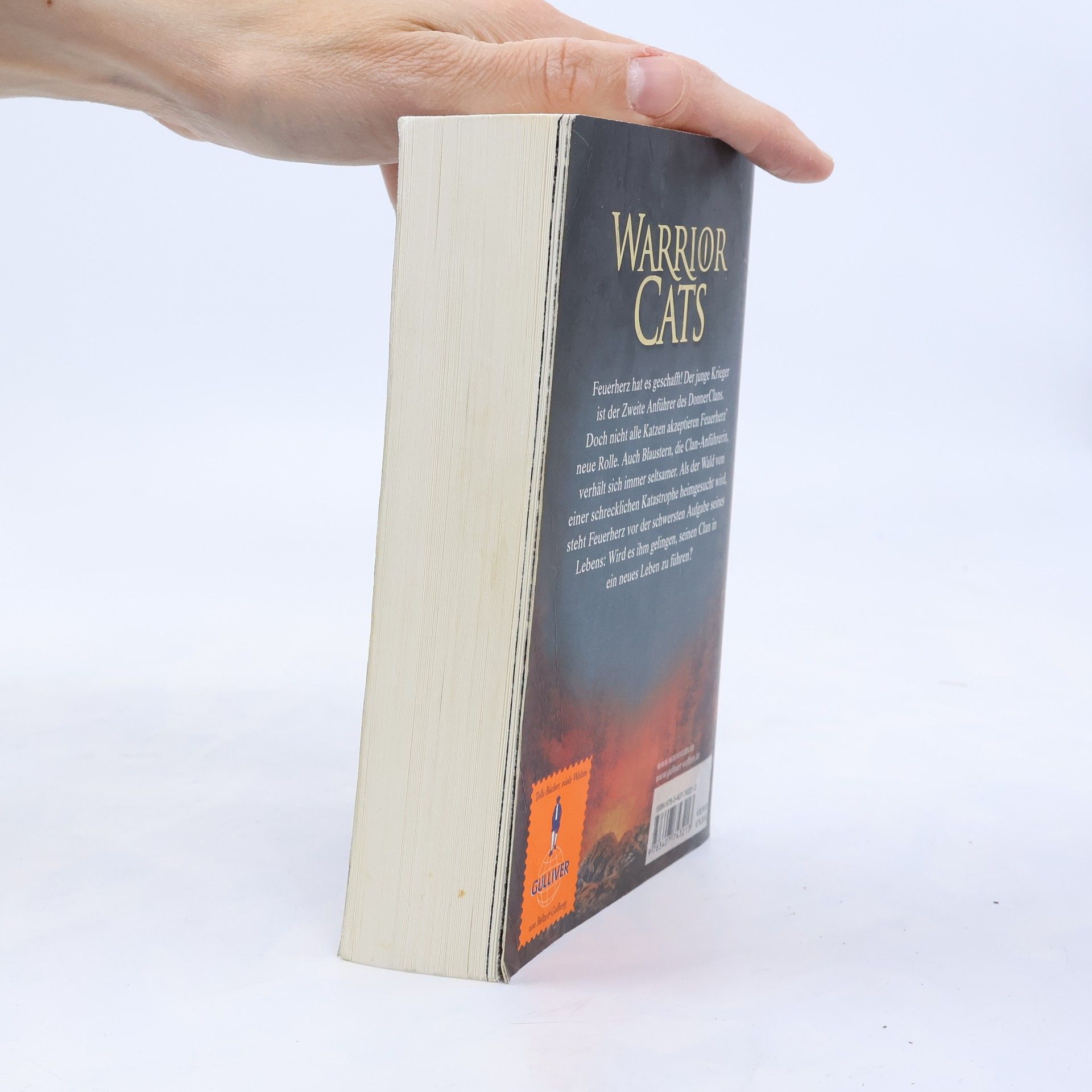 Erin Hunter Warrior Cats. Vor dem Sturm