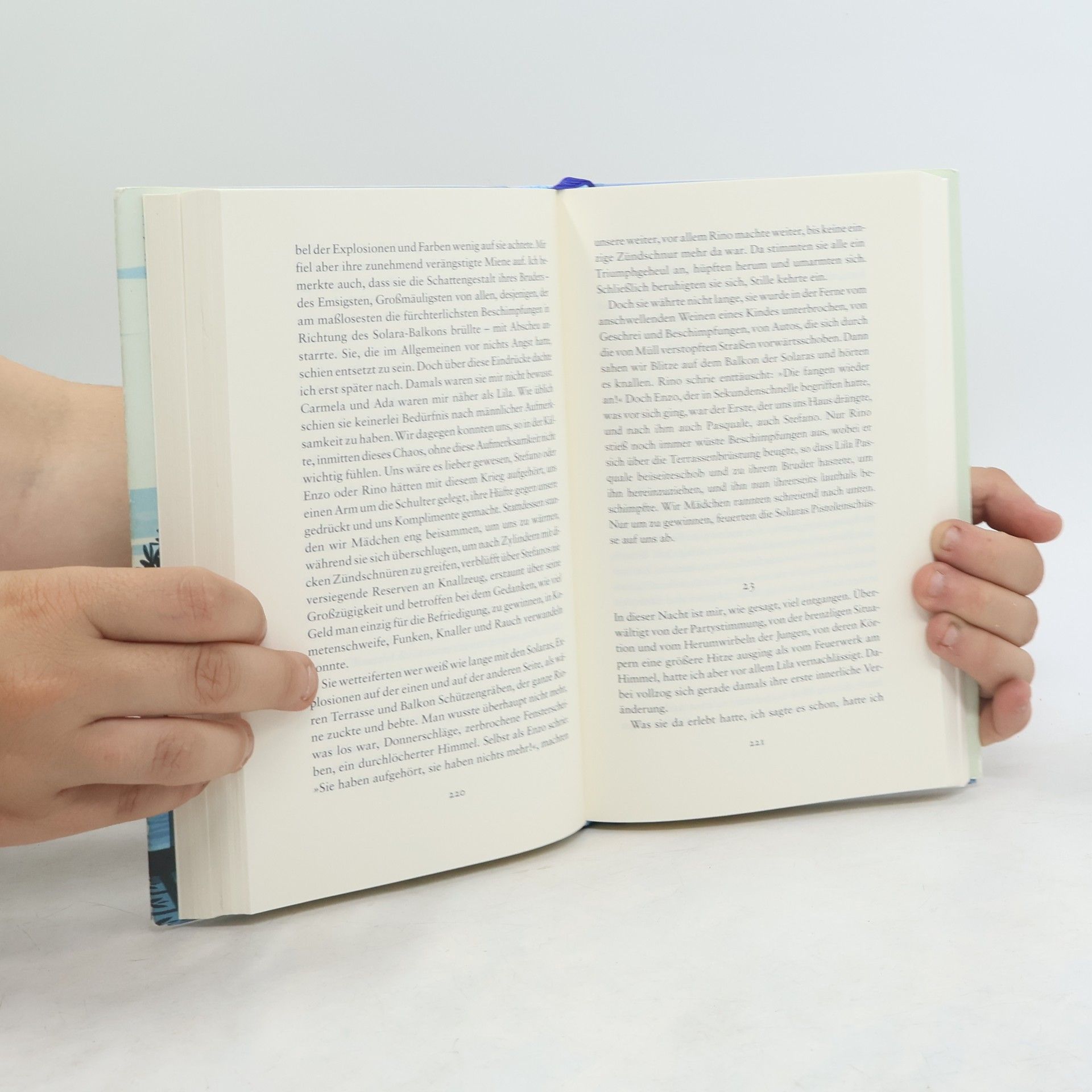 Elena Ferrante Meine geniale Freundin