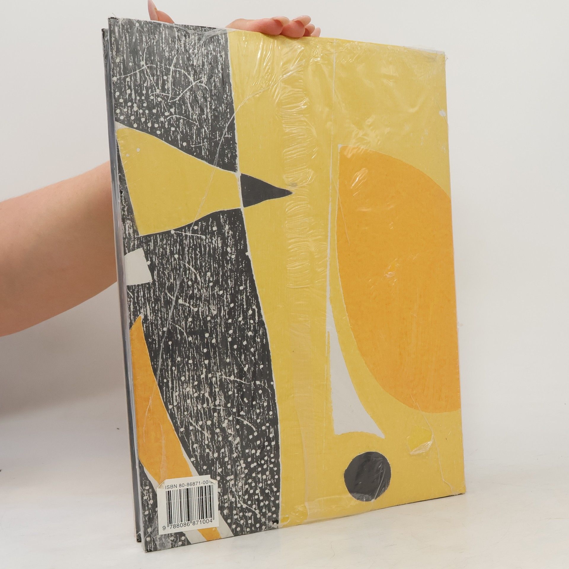 Jánuš Kubíček Jánuš Kubíček. Kresba a grafika. Drawings and Graphics