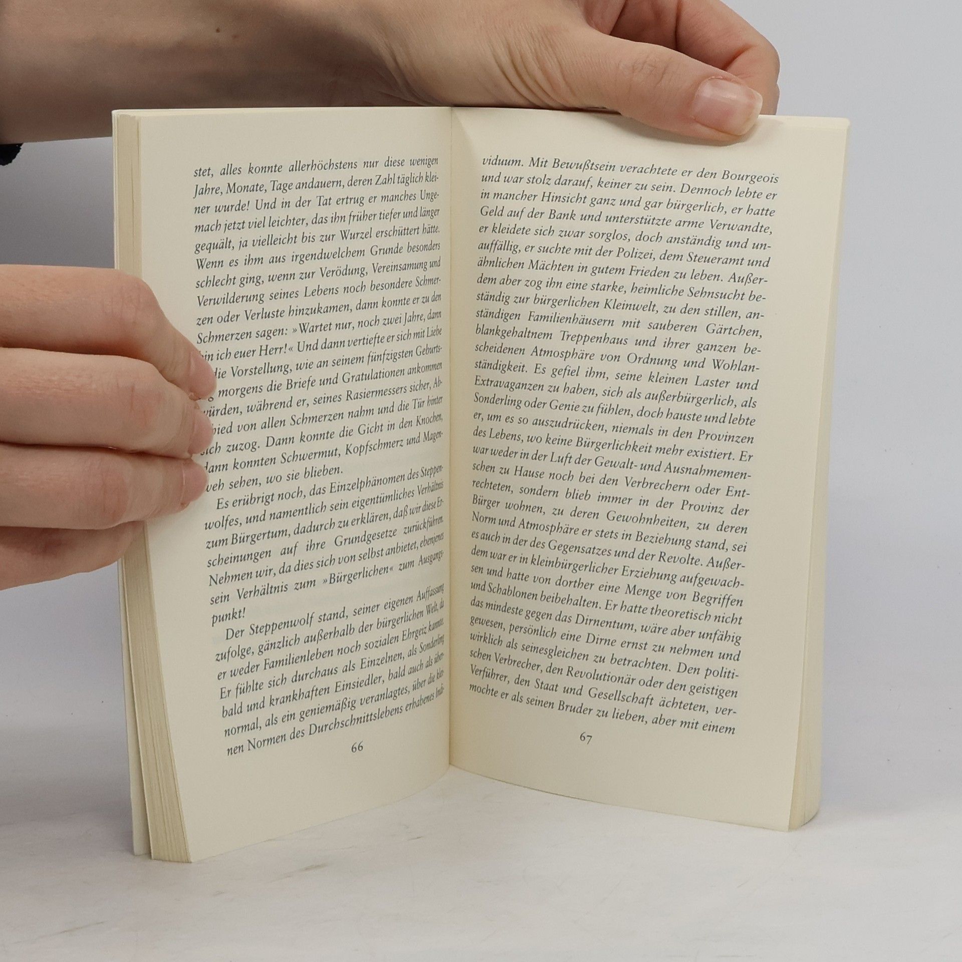 Hermann Hesse Der Steppenwolf