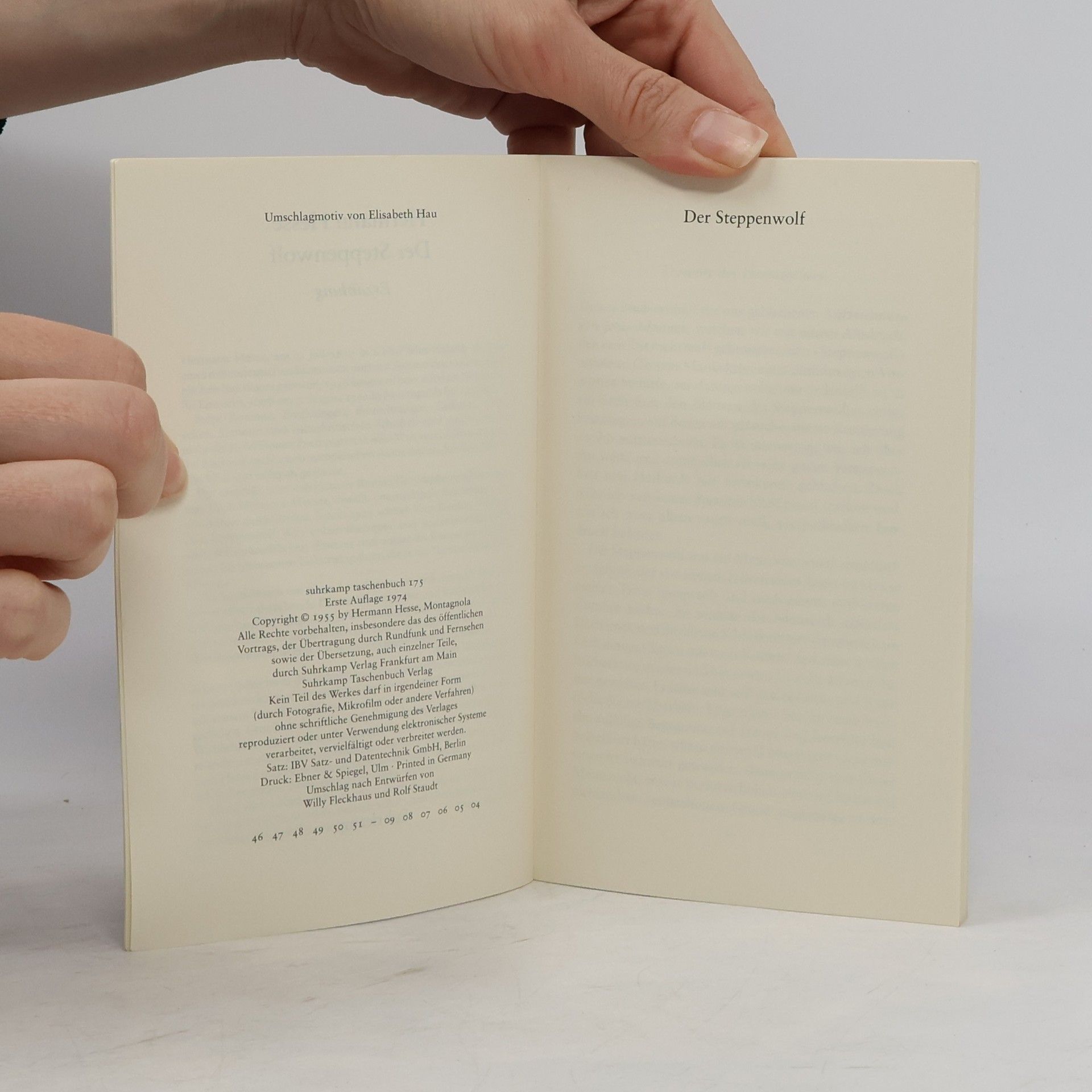 Hermann Hesse Der Steppenwolf