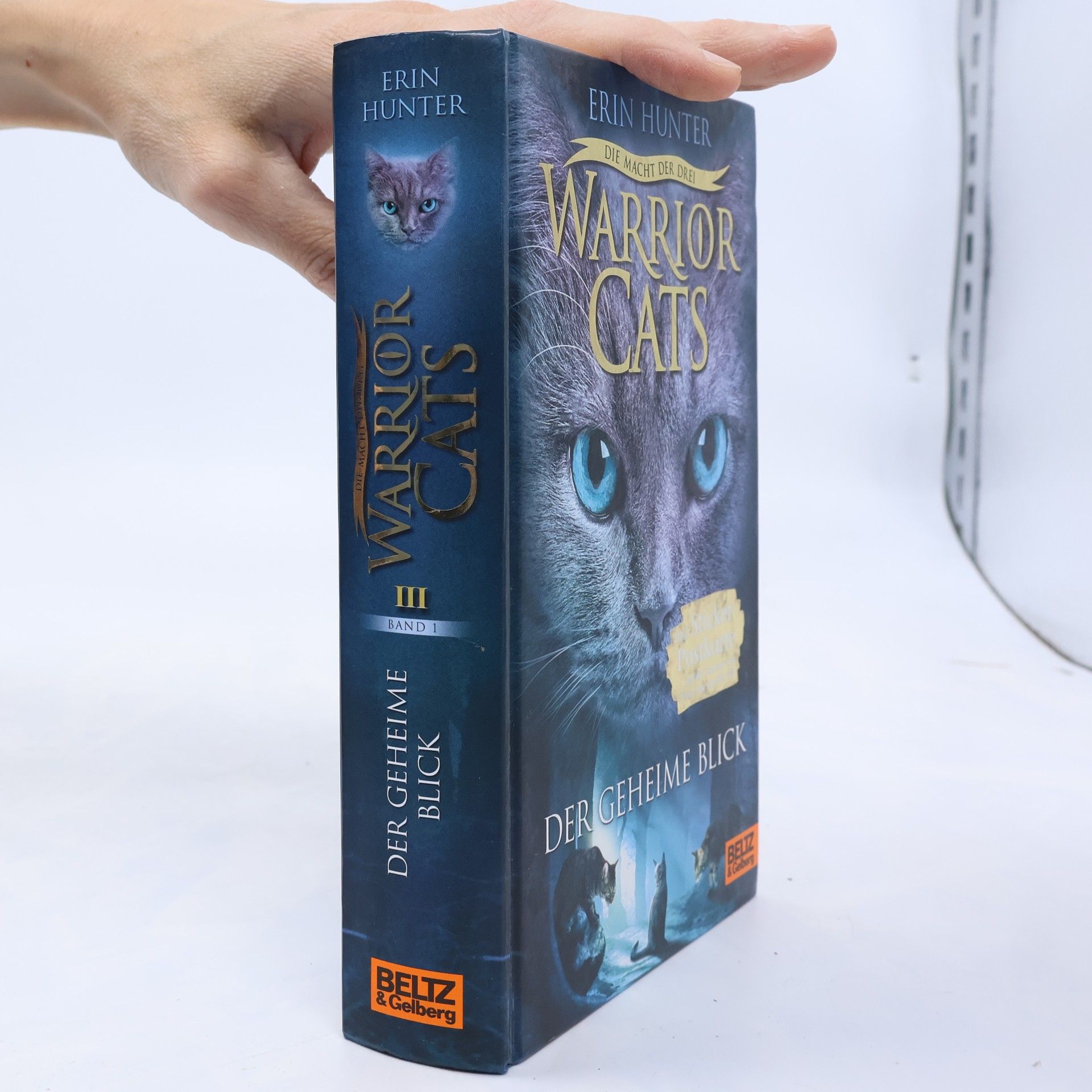Erin Hunter Warrior Cats: Der geheime Blick