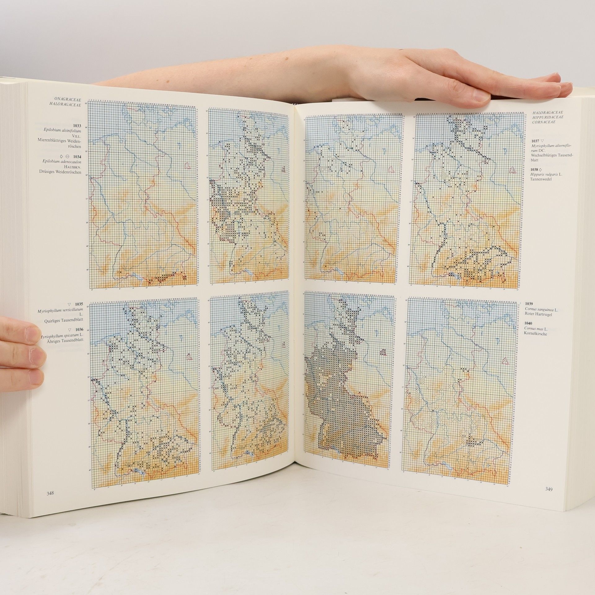 Henning Haeupler Atlas der Farn- und Blütenpflanzen der Bundesrepublik Deutschland