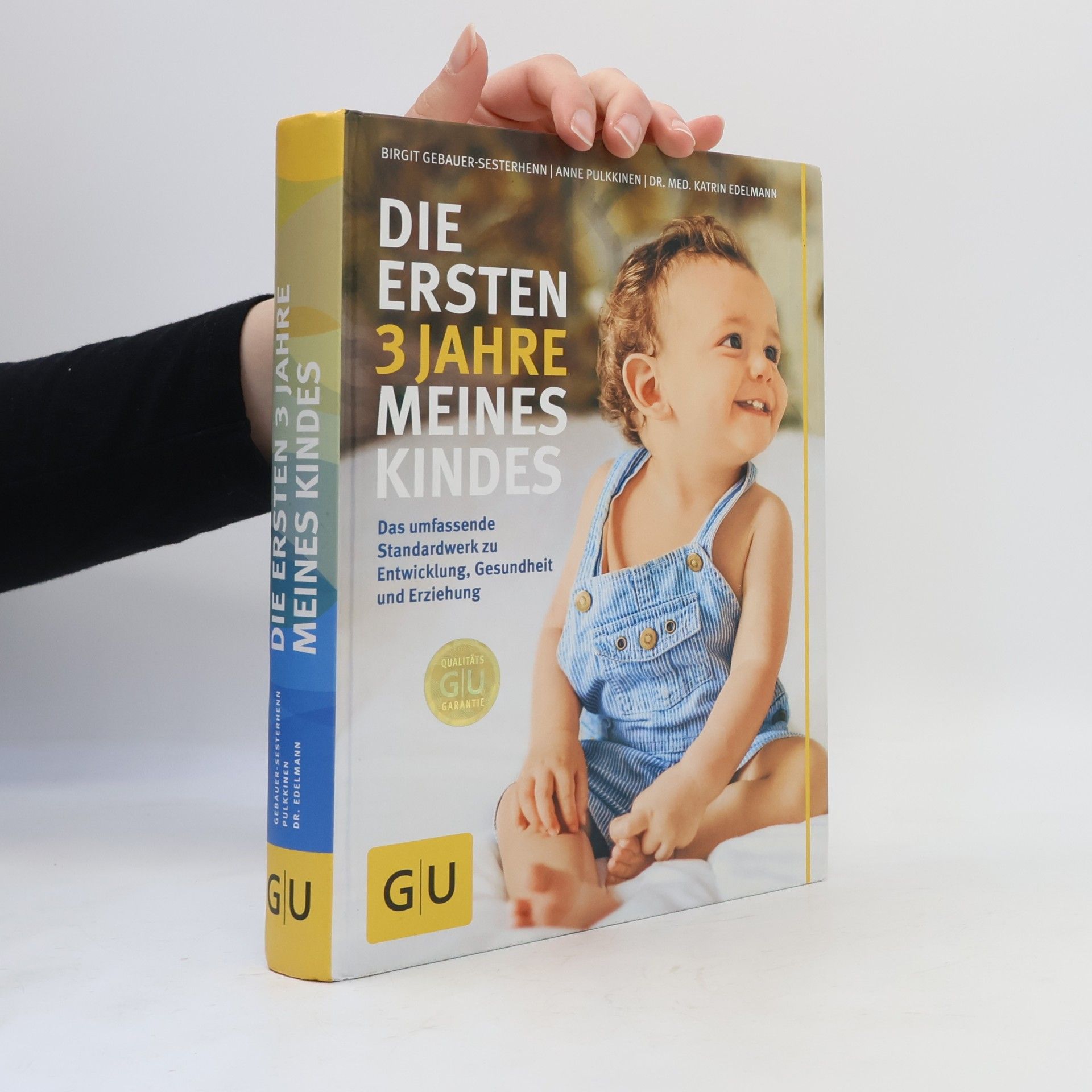 Birgit Gebauer-Sesterhenn Die ersten 3 Jahre meines Kindes