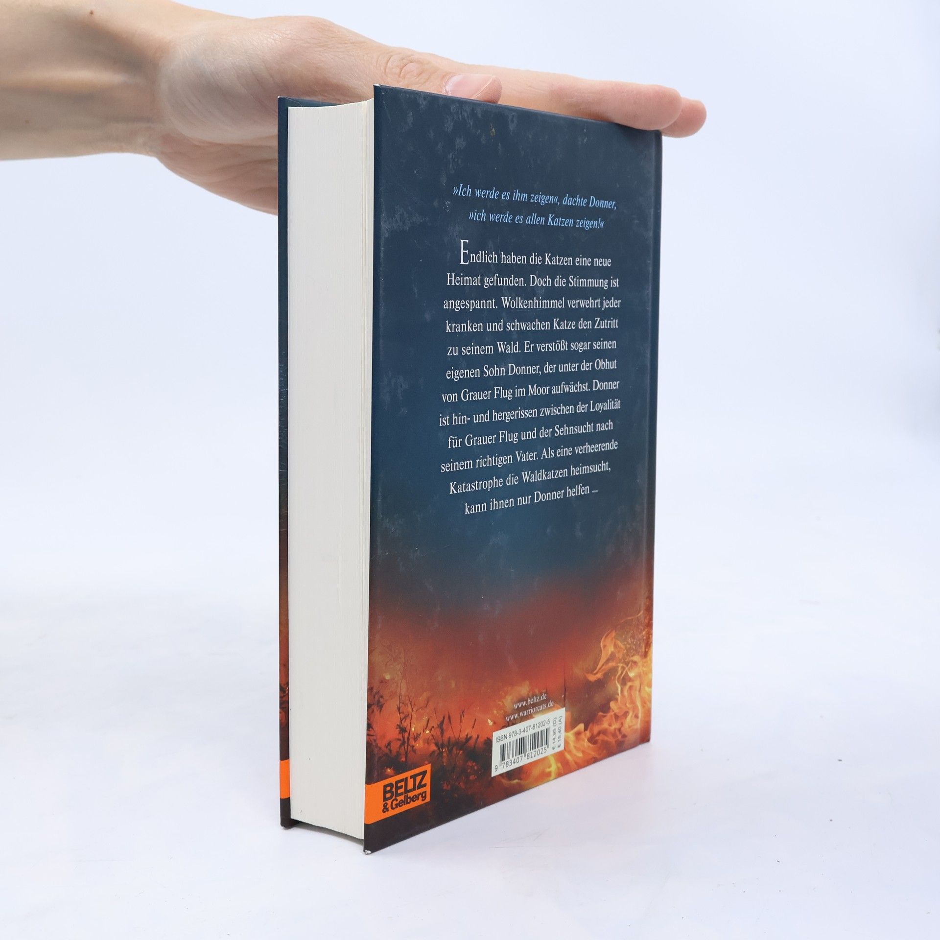 Erin Hunter Donnerschlag