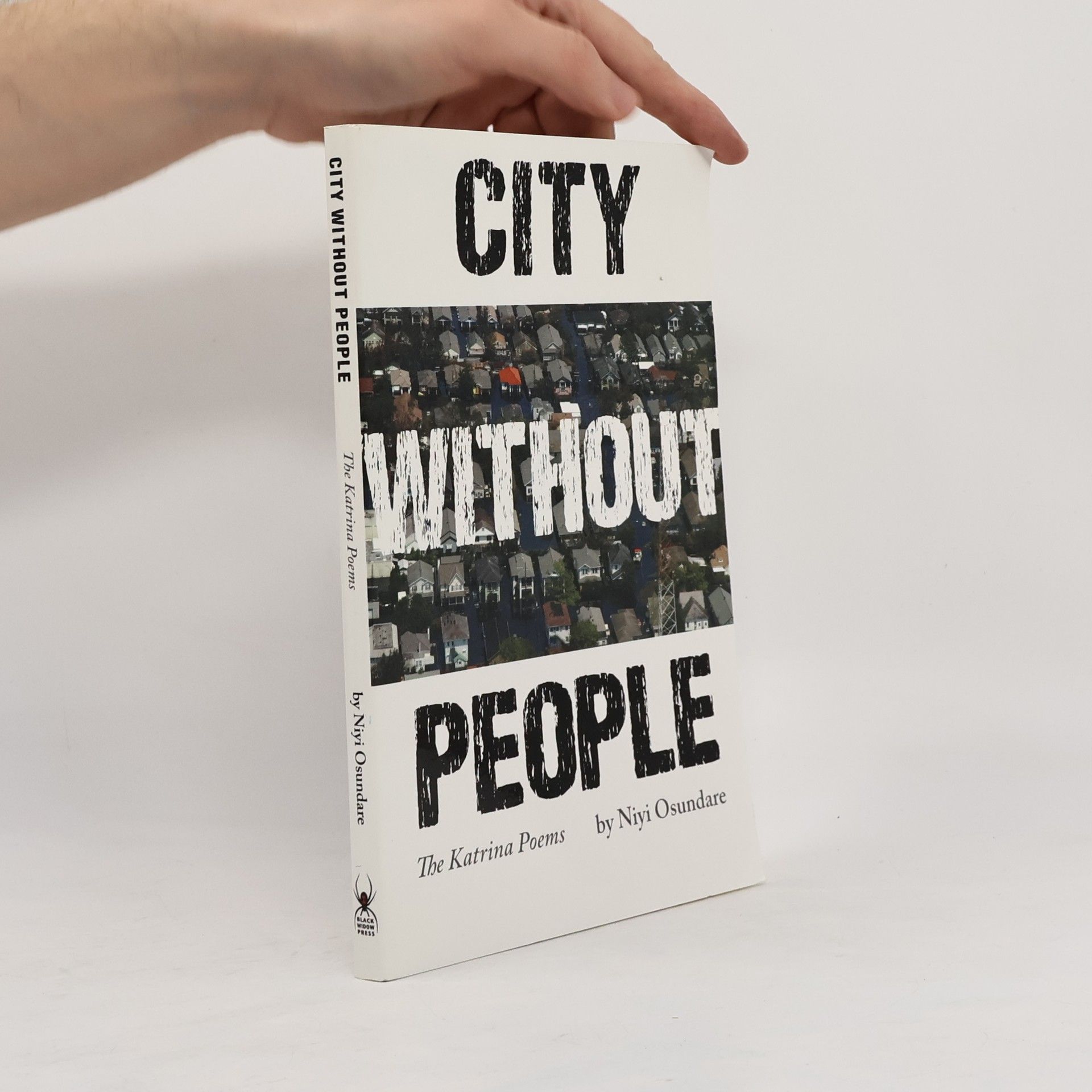 Niyi Osundare Black Widow Press Modern Poetry: City Without People
