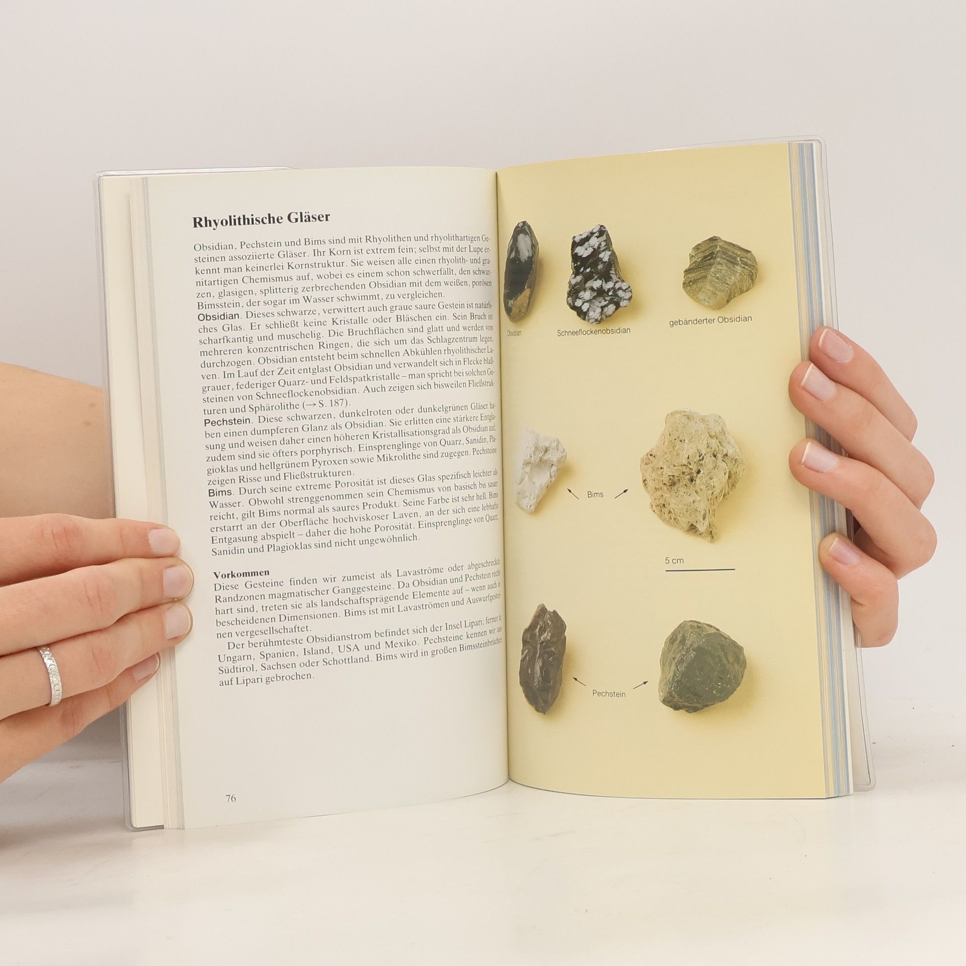 Gerd Hintermaier Erhard Gesteine und ihre Mineralien finden und bestimmen