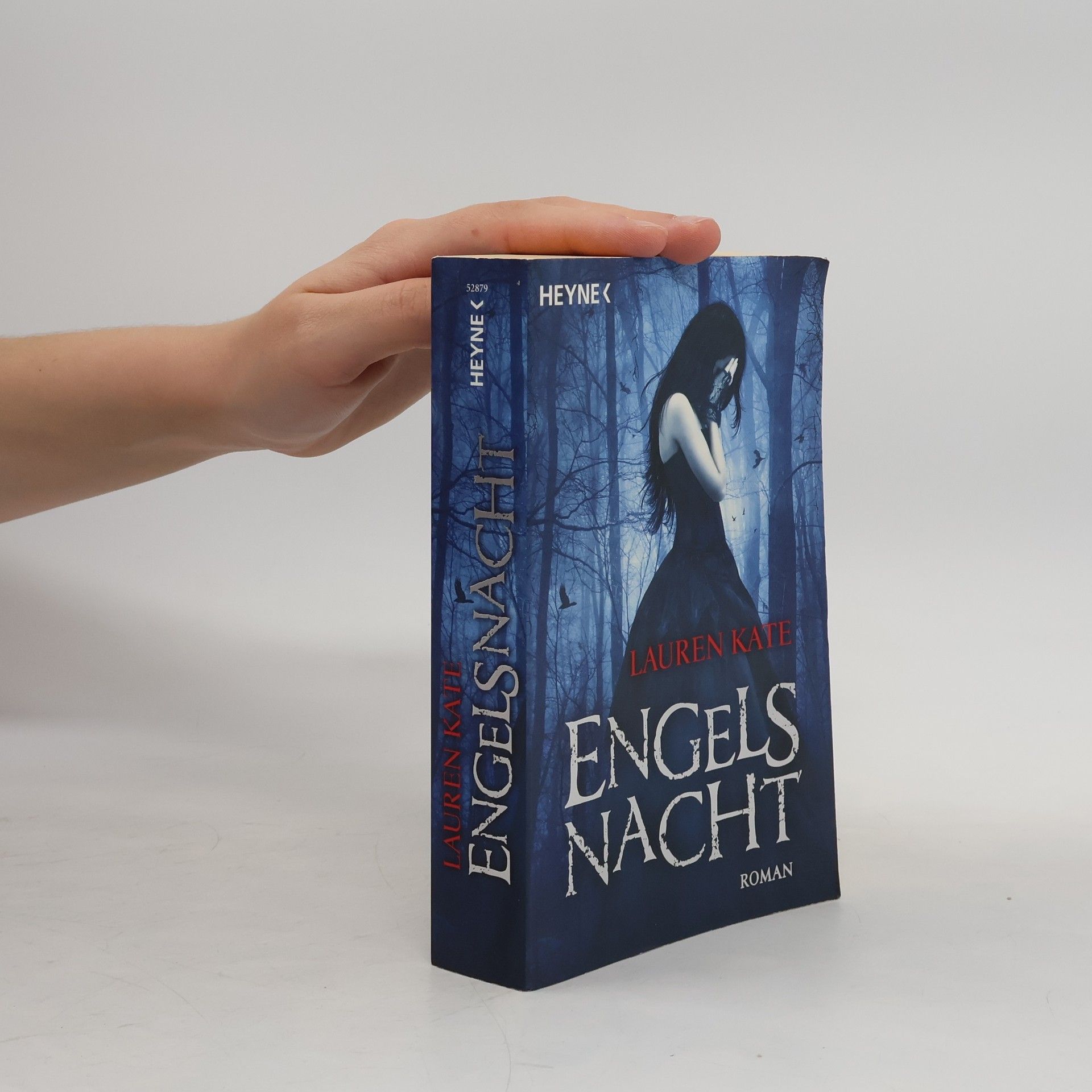 Lauren Kate Engels Nacht