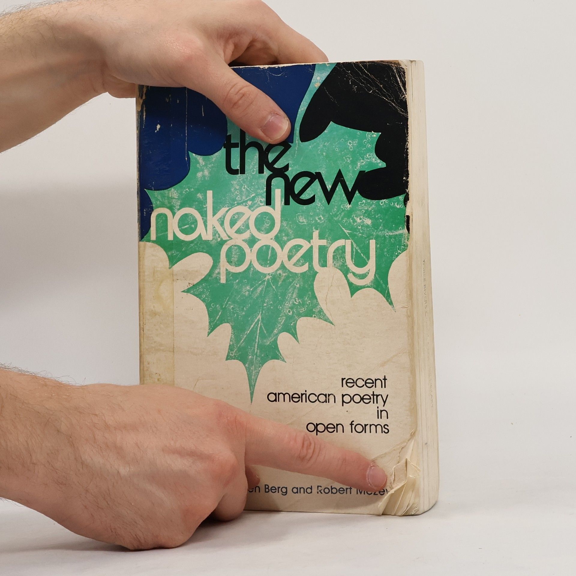 Stephen Berg The New Naked Poetry