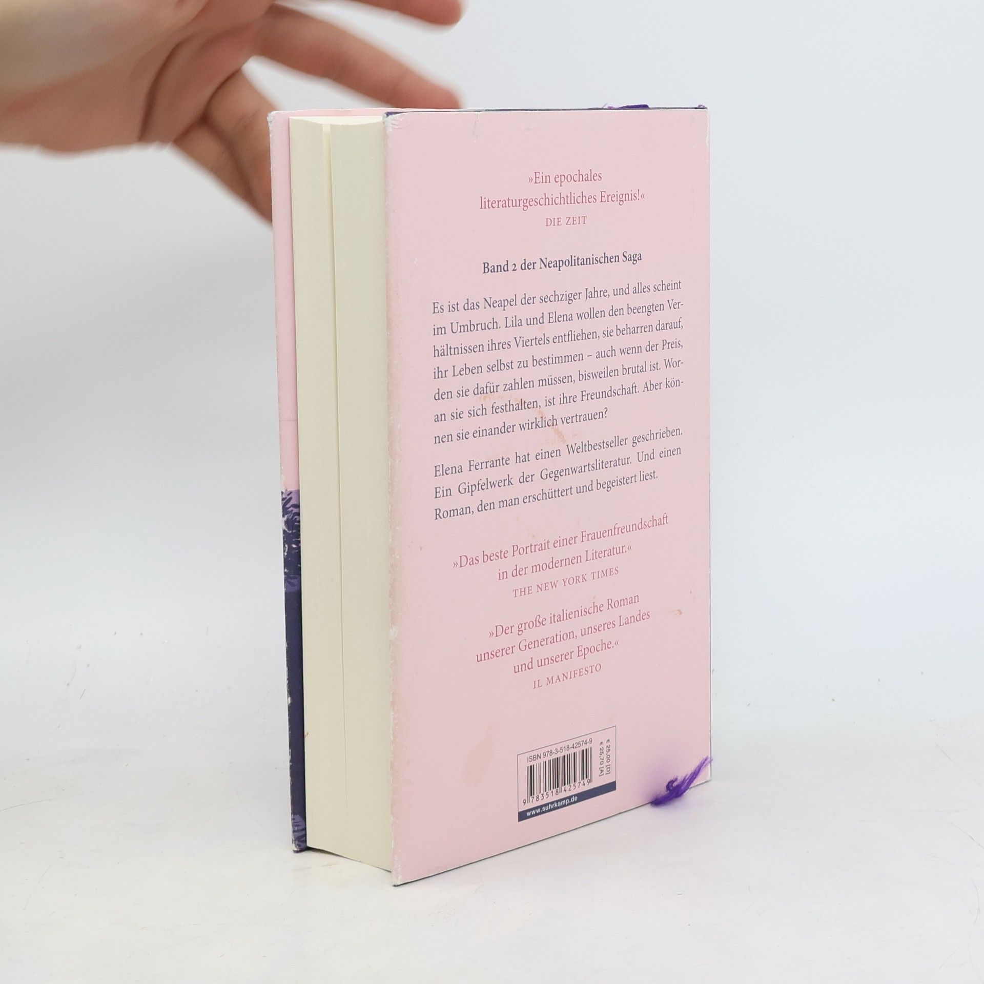 Elena Ferrante Die Geschichte eines neuen Namens: Jugendjahre