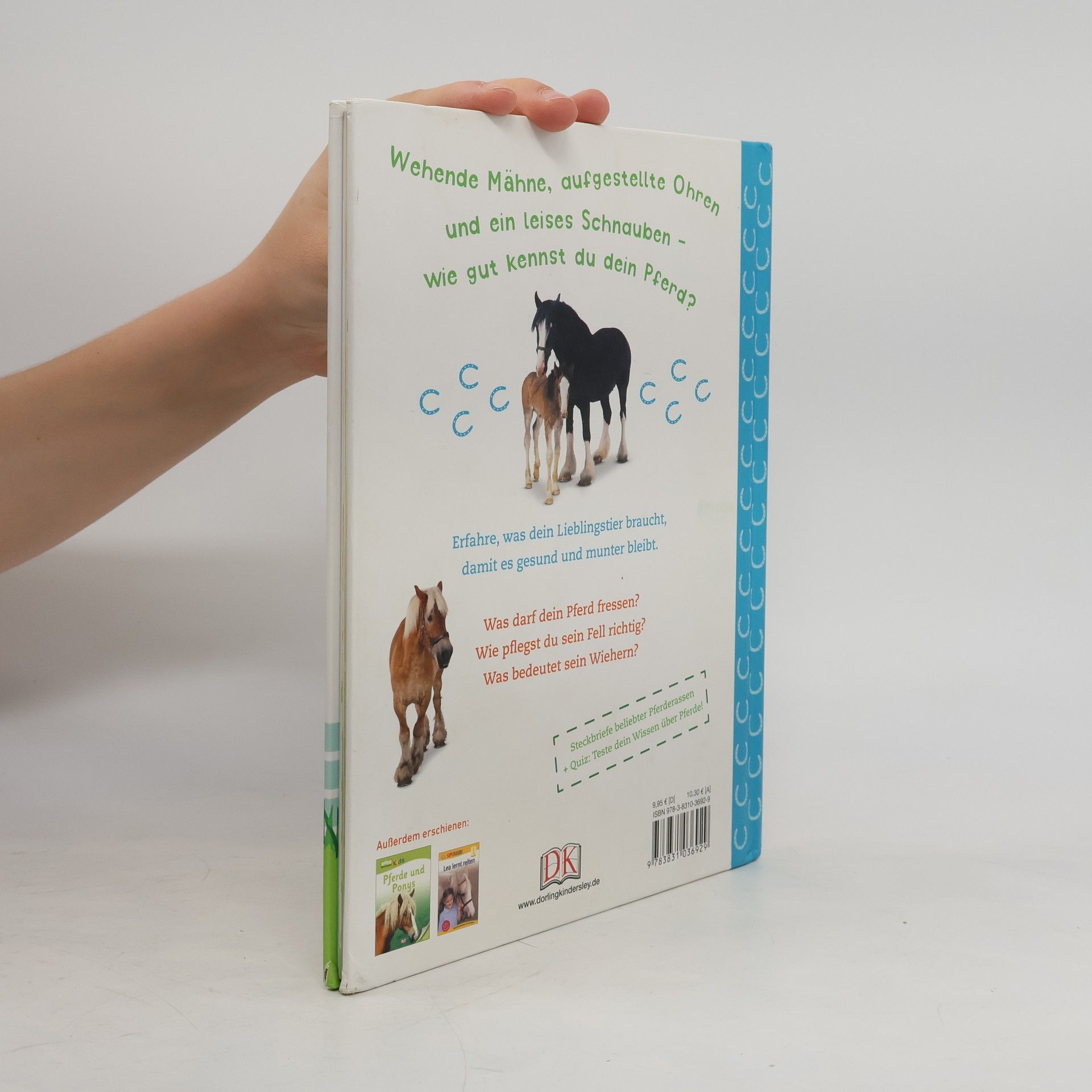 Andrea Mills Pferde und Ponys