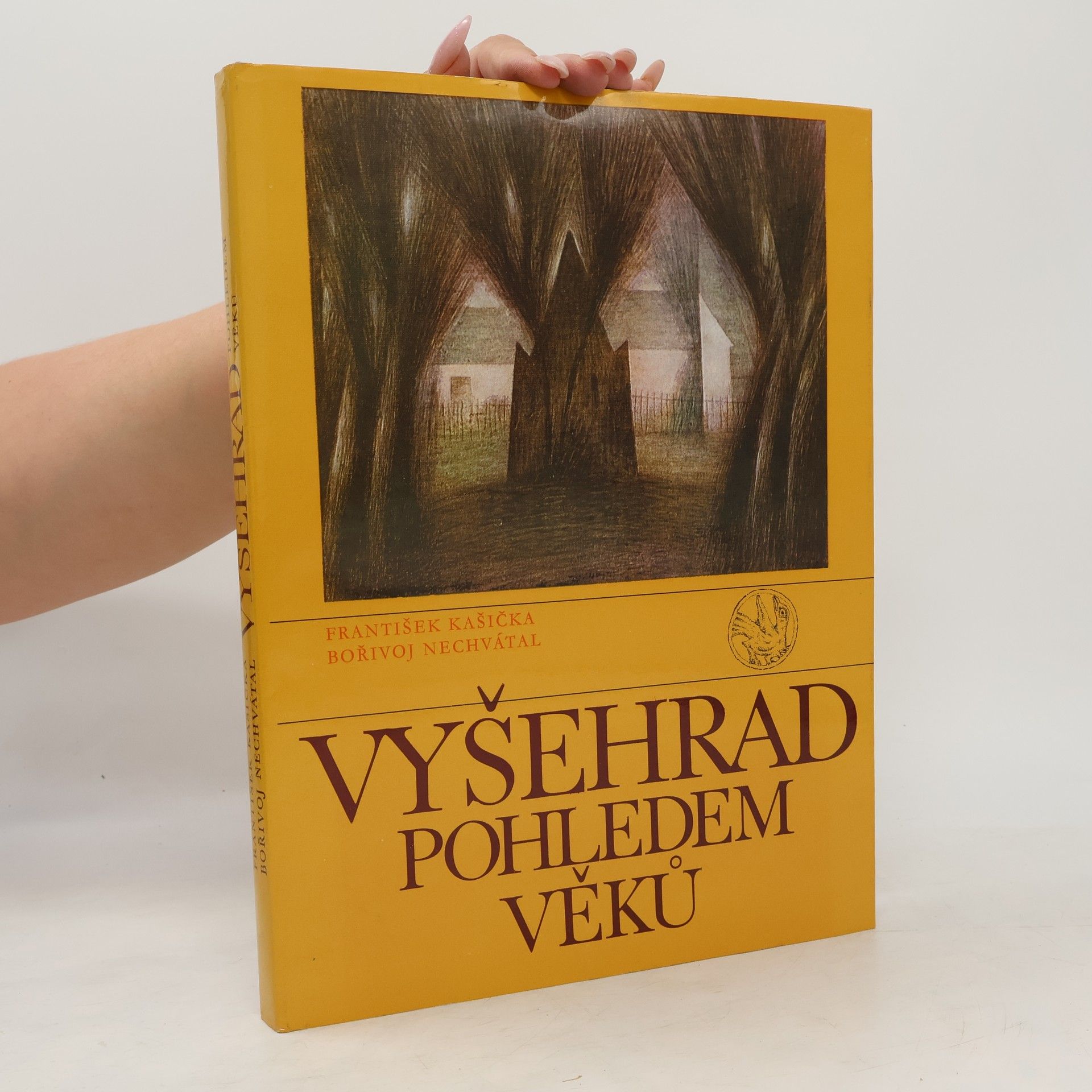 František Kašička Vyšehrad pohledem věků