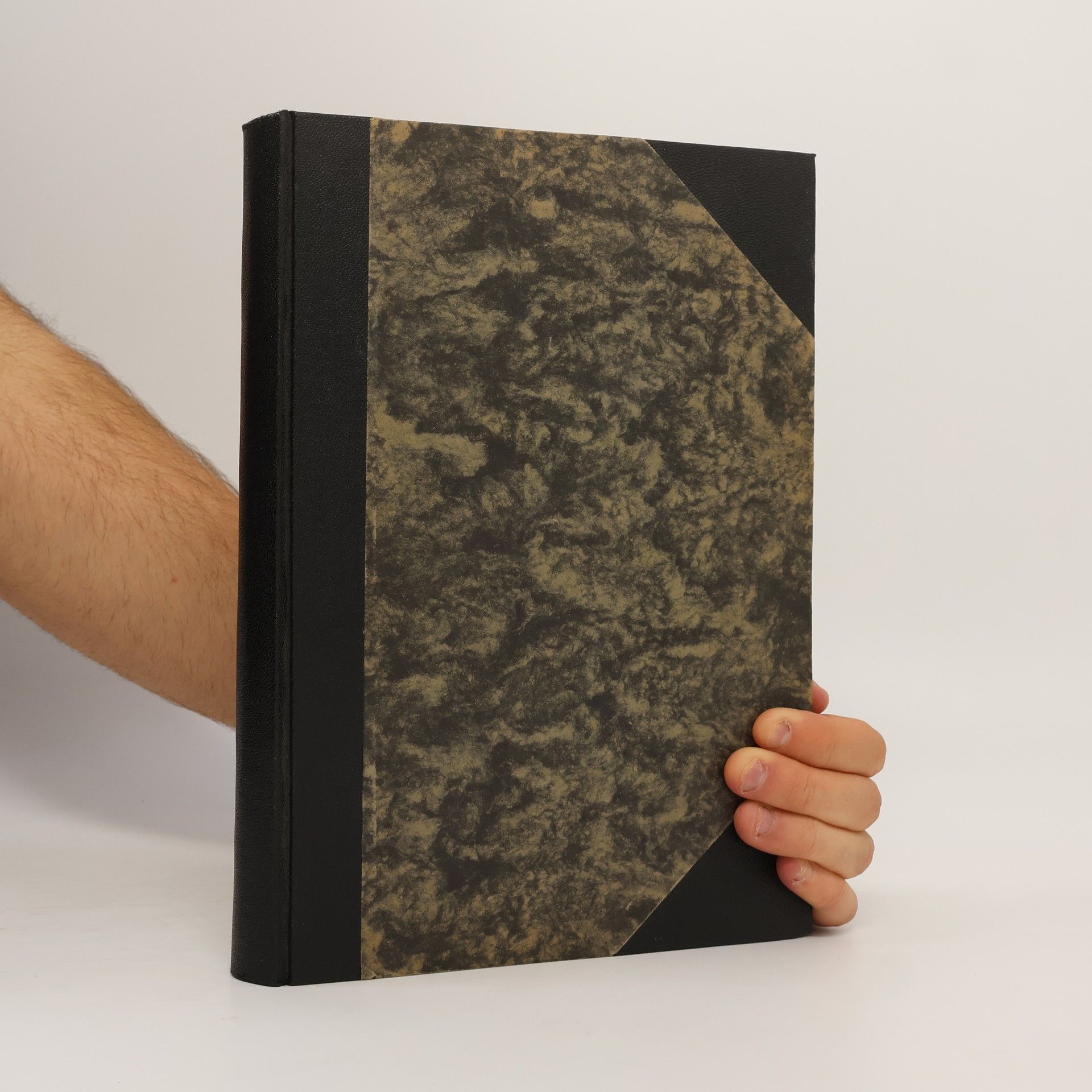 Autores varios Geschichte, Bedeutung und Schicksale des Basler Münsterschatzes