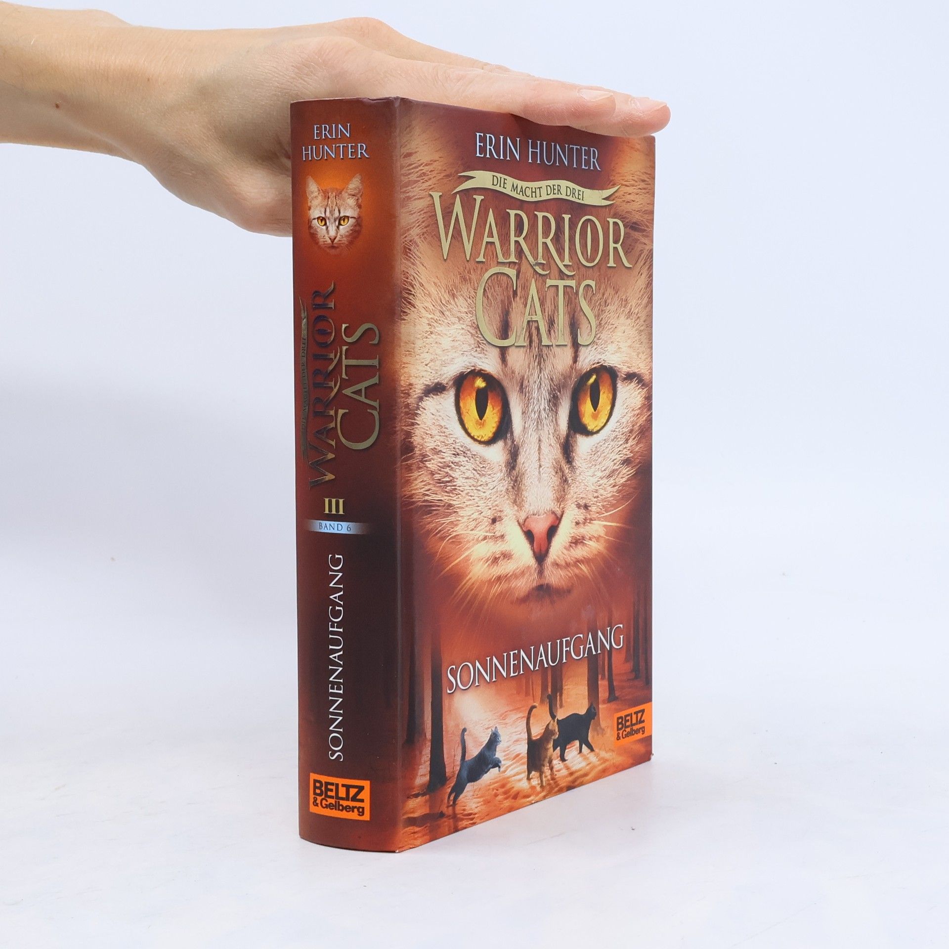 Erin Hunter Warrior Cats. Sonnenaufgang