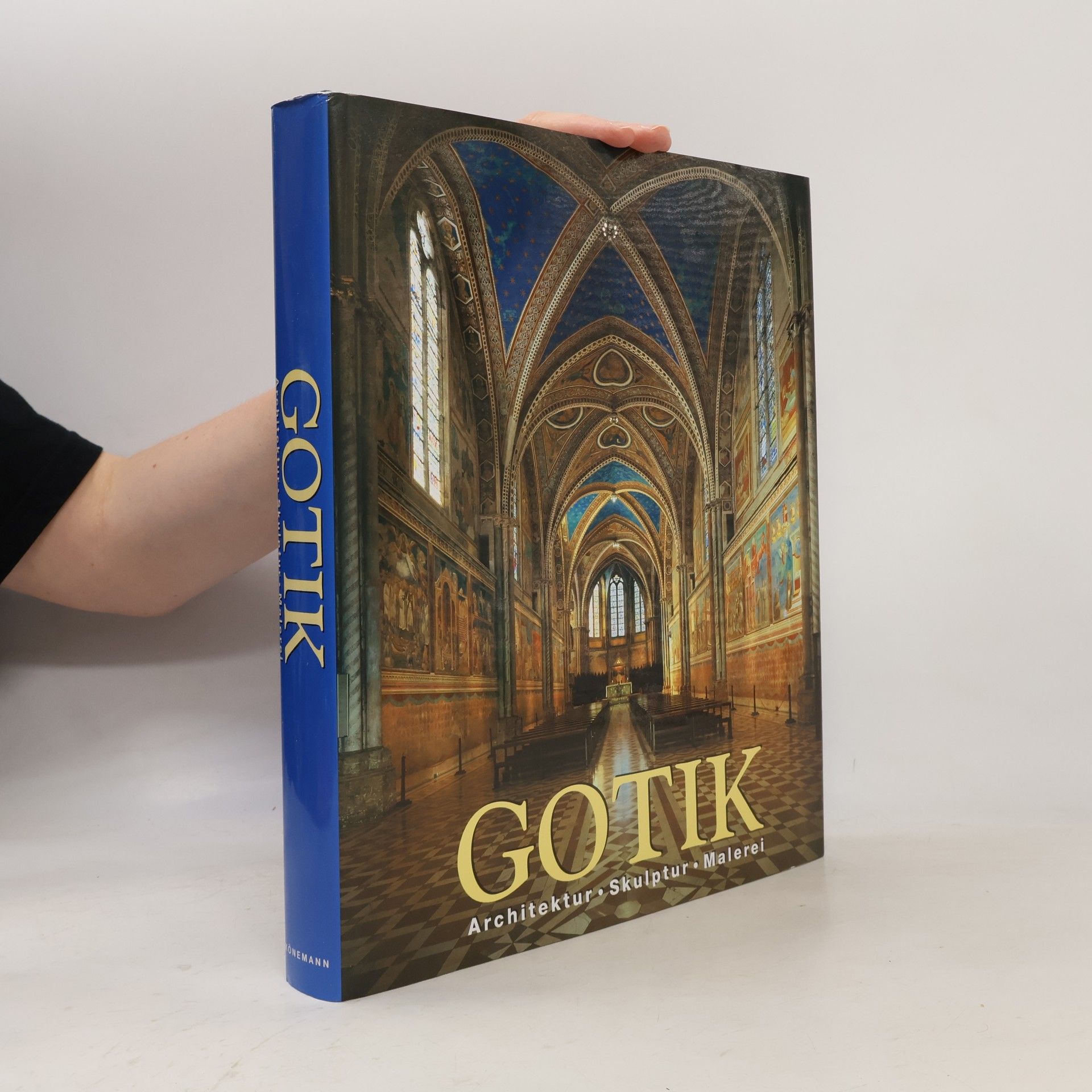 Various authors Gotik. Architektur - Skulptur - Malerei