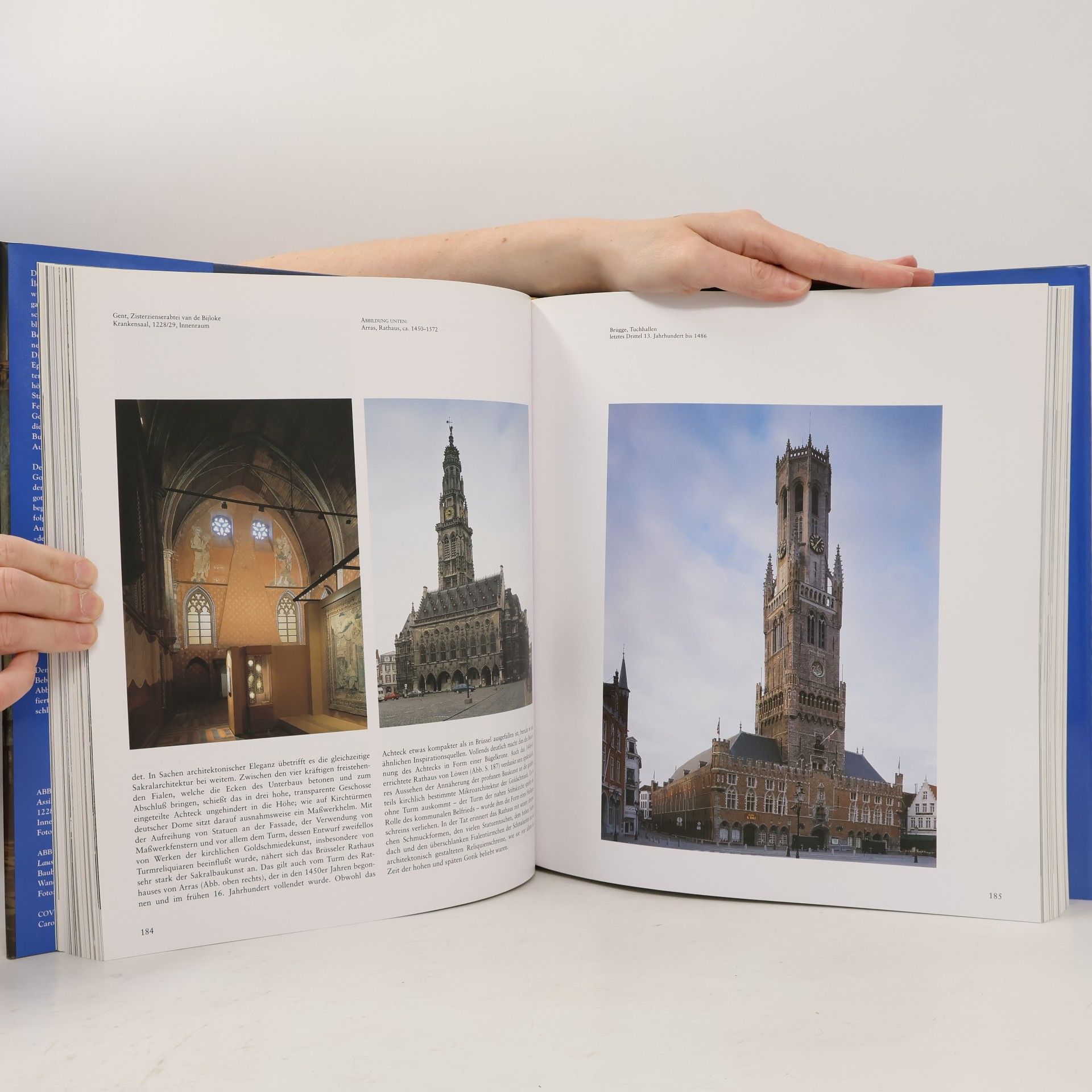Various authors Gotik. Architektur - Skulptur - Malerei