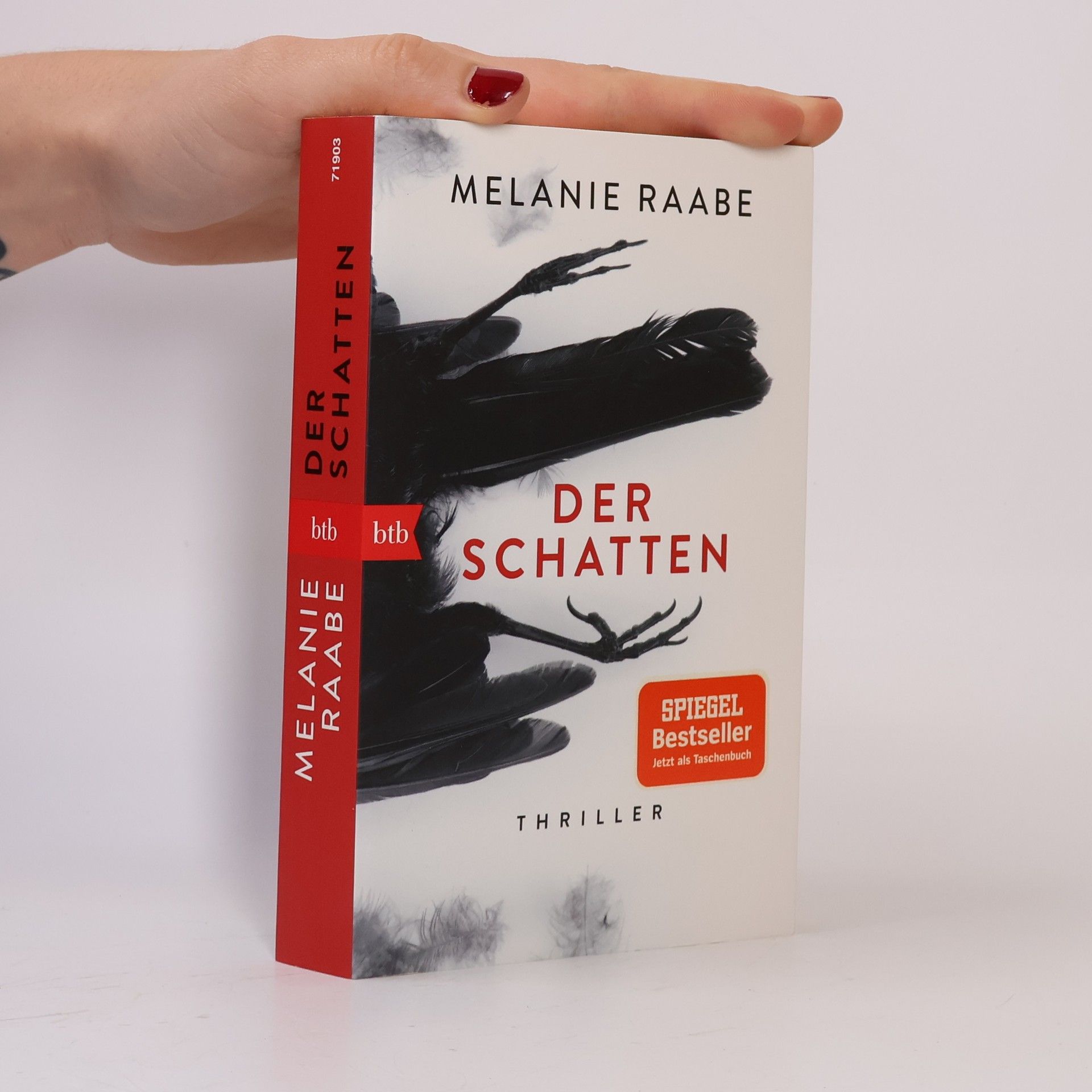 Melanie Raabe Der Schatten