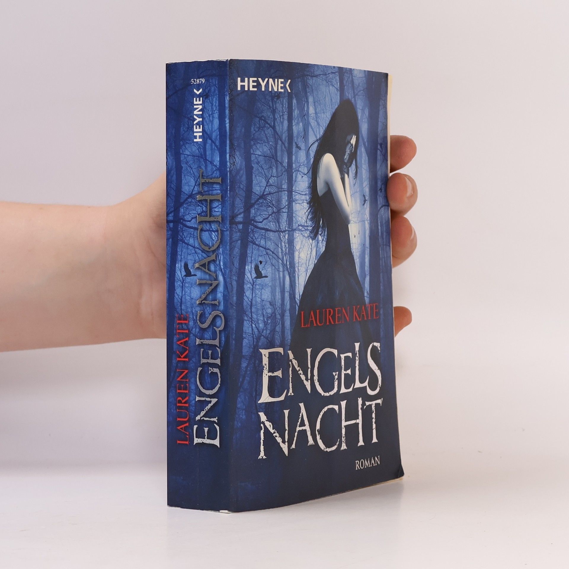 Lauren Kate Engels Nacht