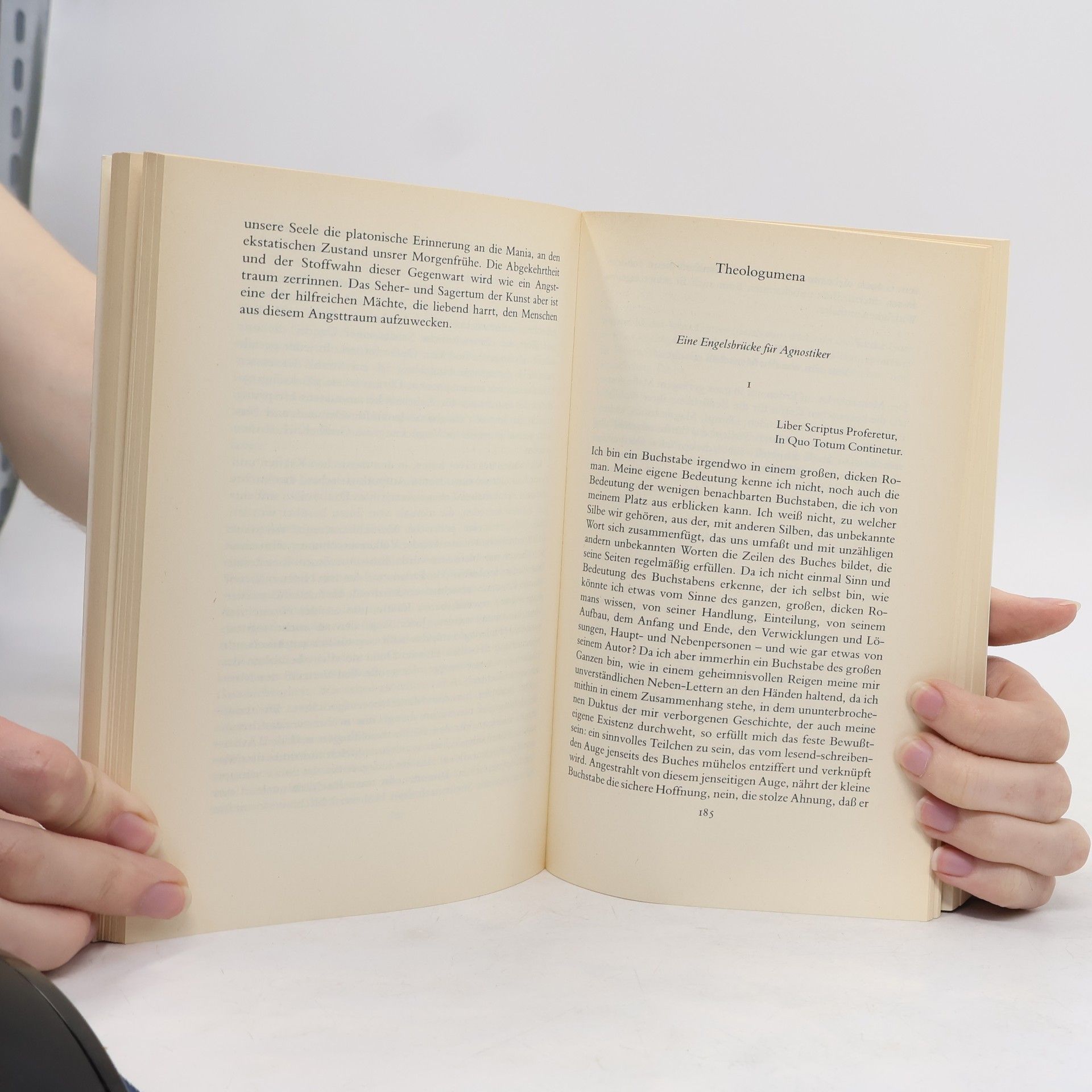 Franz Werfel "Leben heißt, sich mitteilen" : Betrachtungen, Reden, Aphorismen