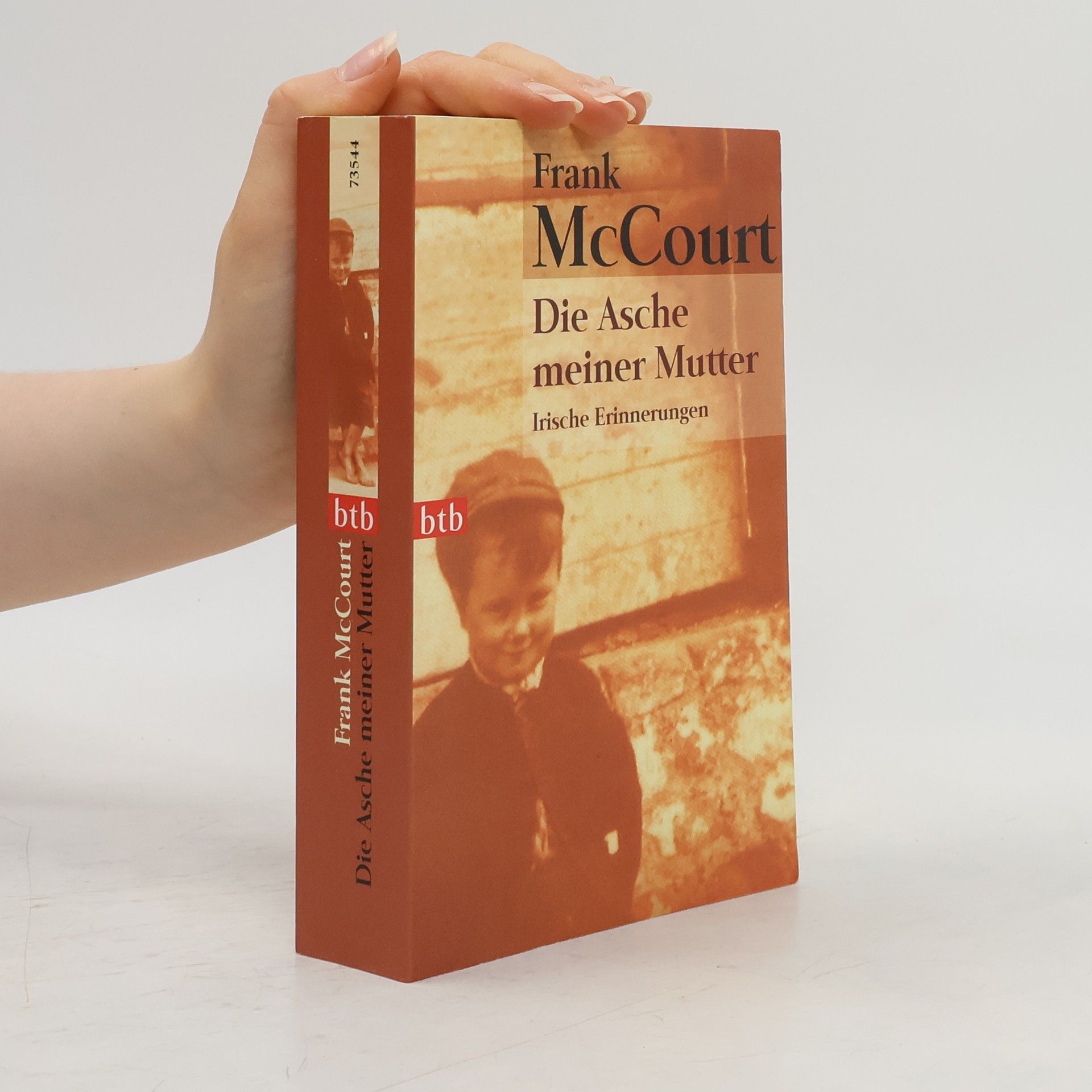 Frank McCourt Die Asche meiner Mutter