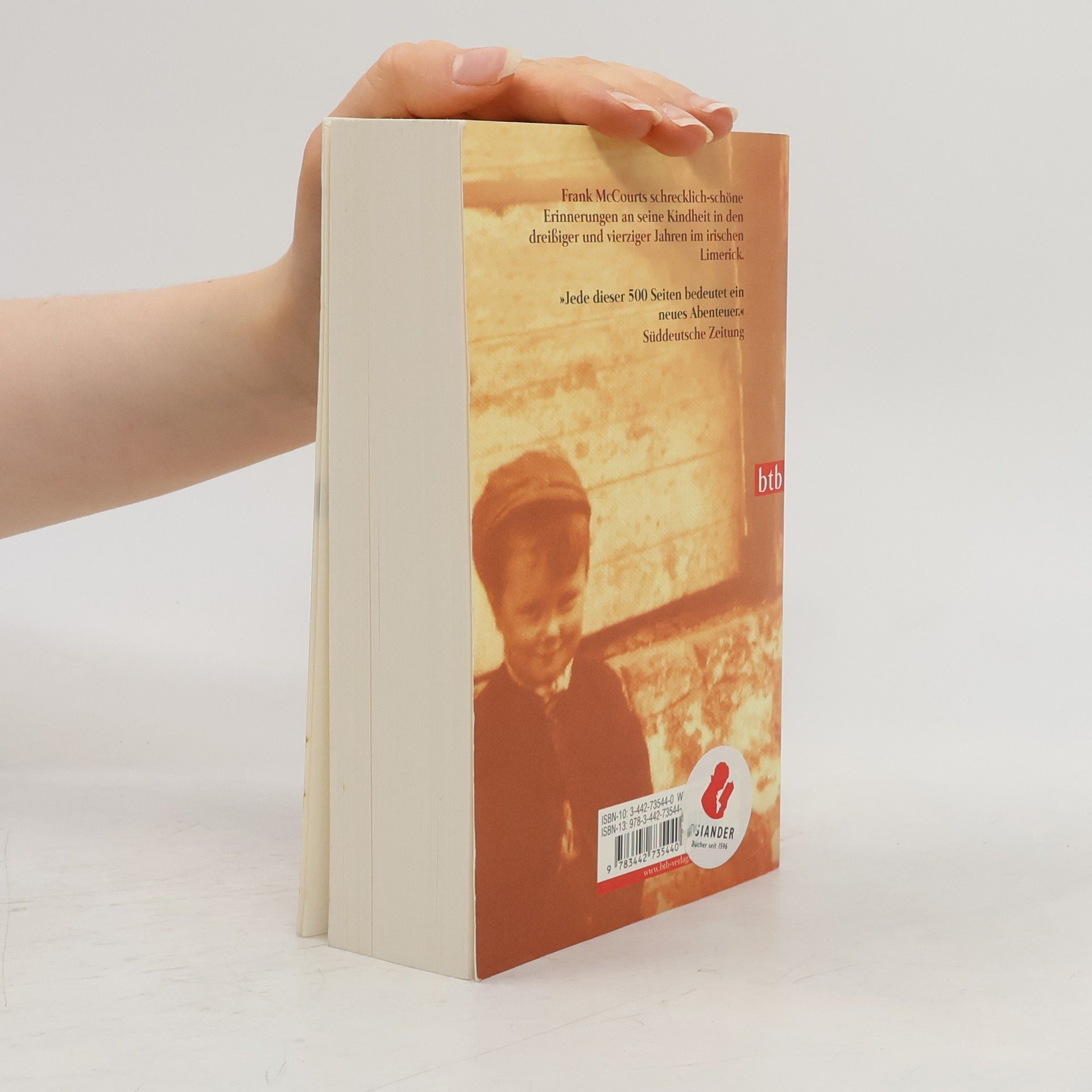 Frank McCourt Die Asche meiner Mutter
