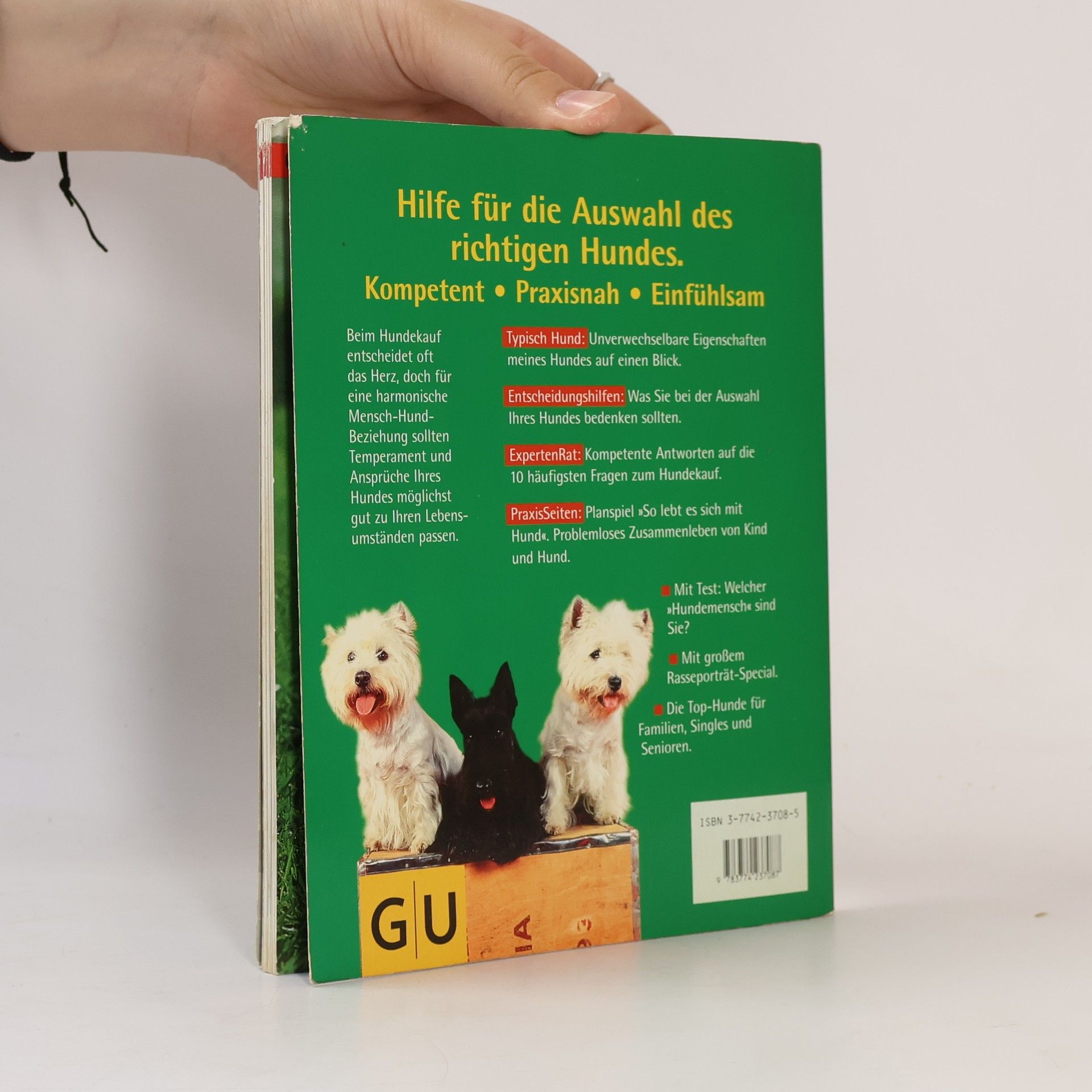 Gerd Ludwig Mein Traumhund